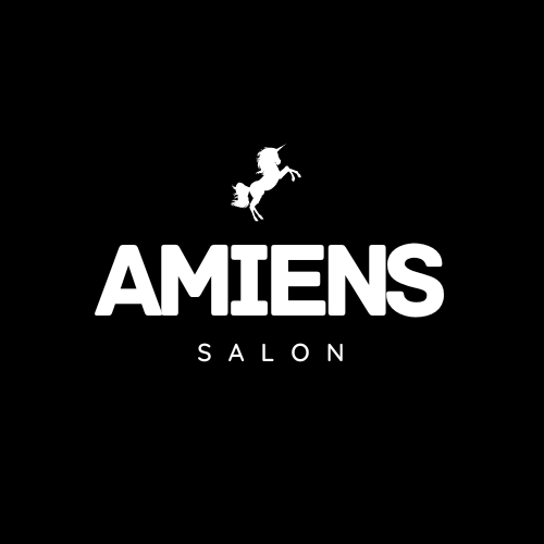 AMIENS SALON