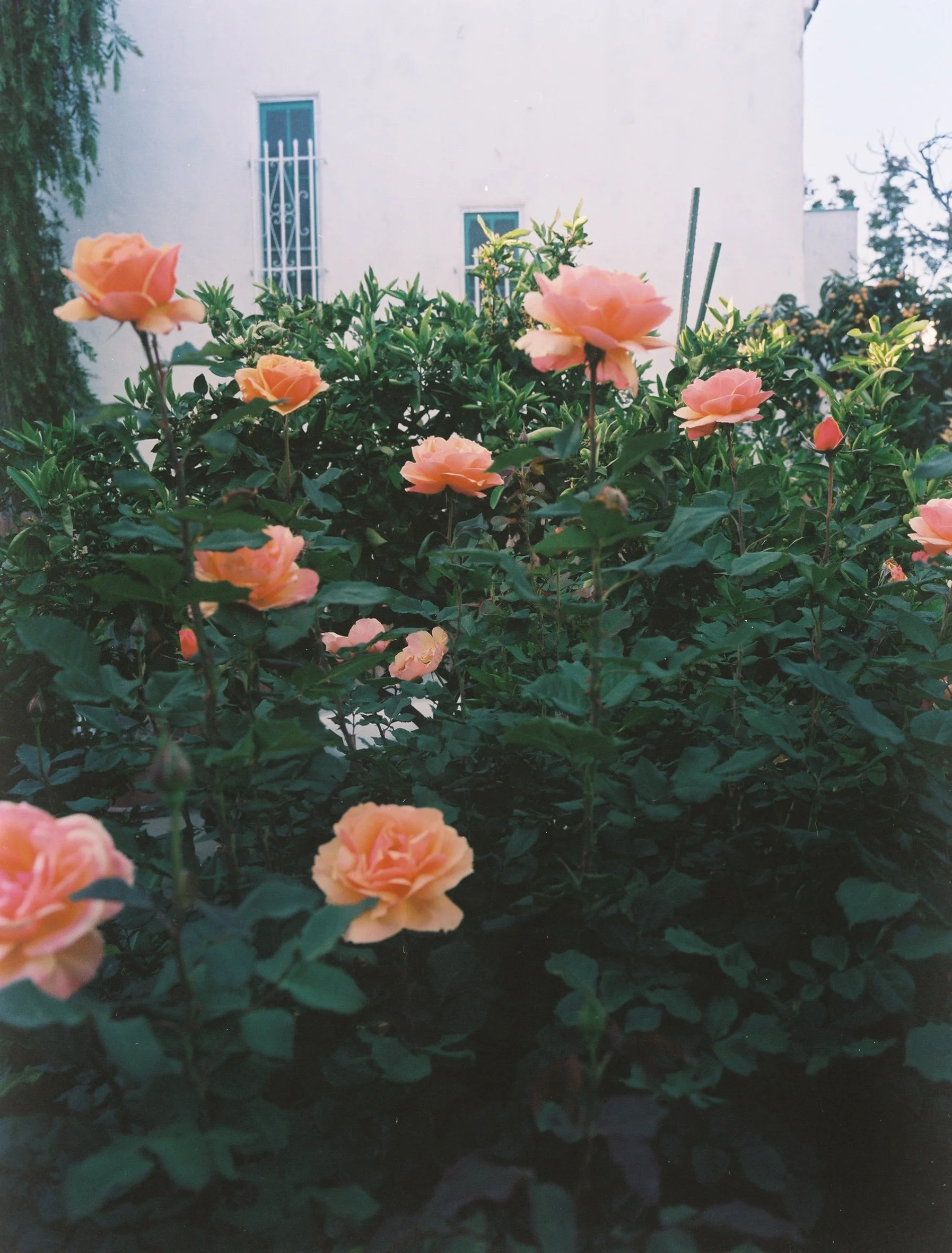 2377000_2377000-R1-E009 copy.jpeg