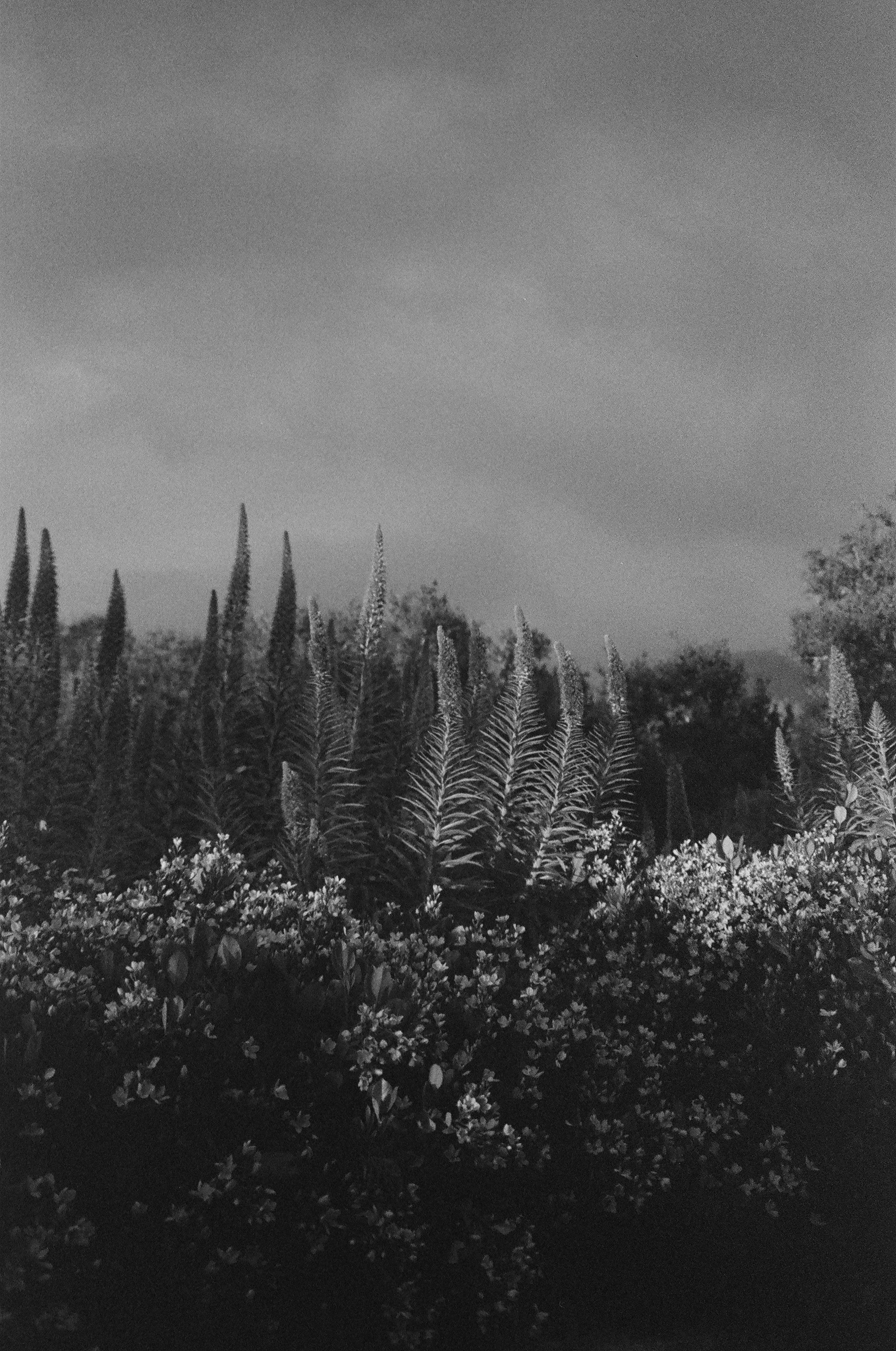 383952_0028 copy 2.jpg