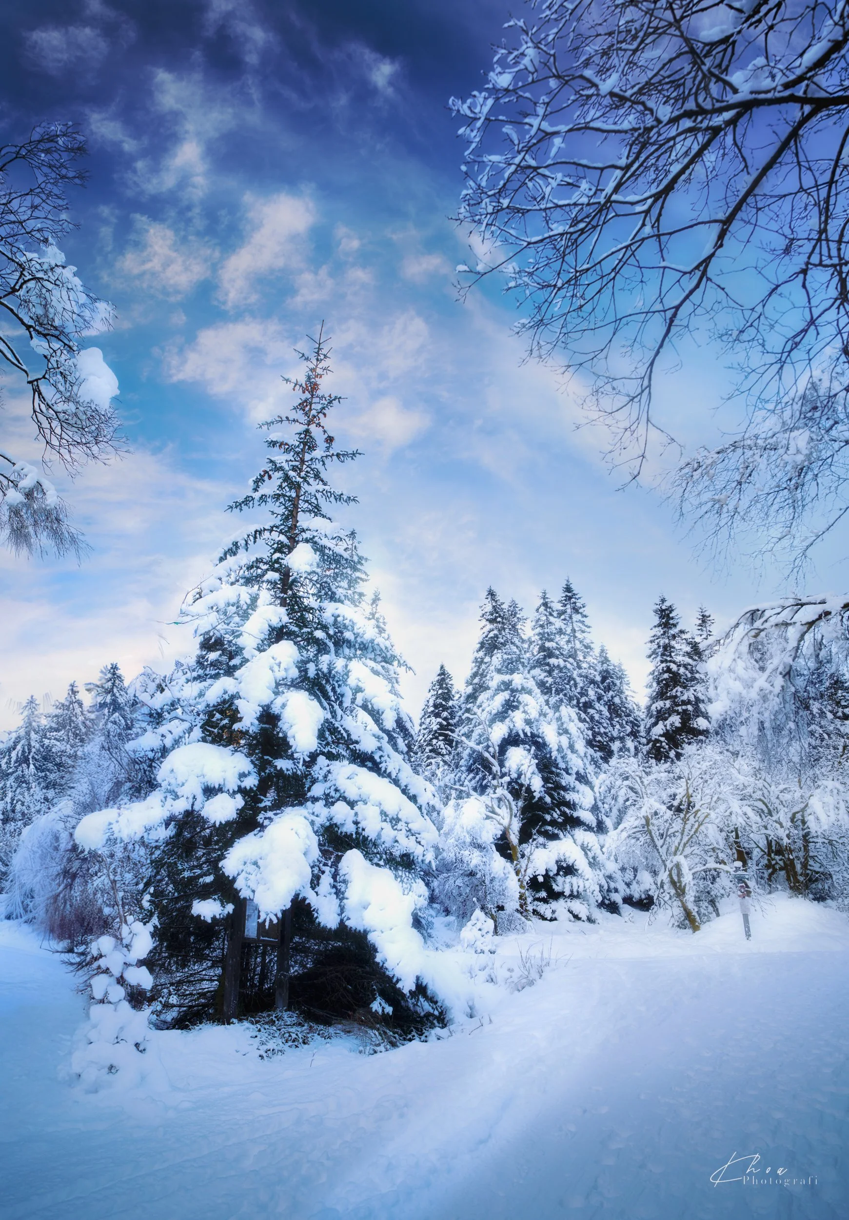 Tarlebøveien, Bergen, Norway