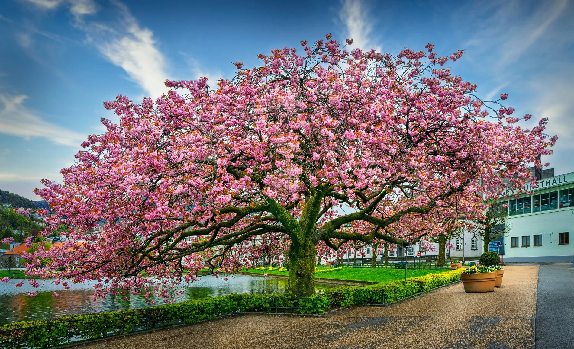 Bergen, Norway