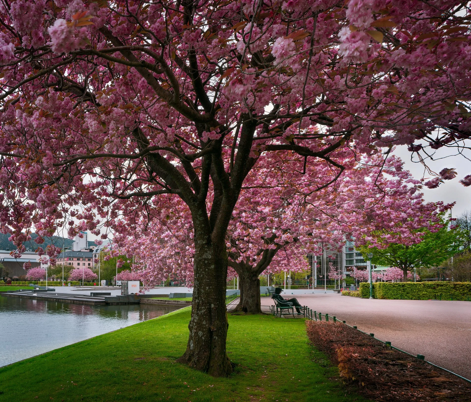 Bergen, Norway