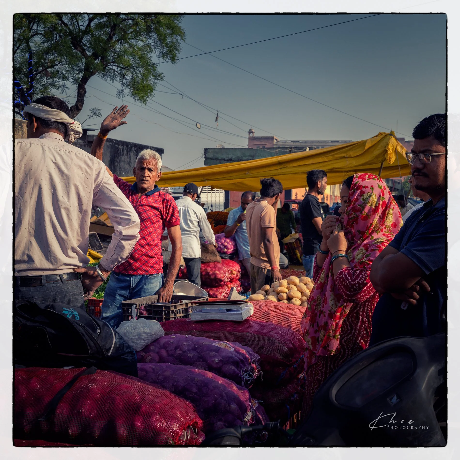 Market Sabji Mandi in Jaipur, India