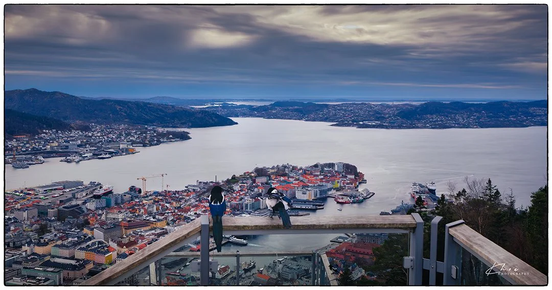 Mt Fløyen, Bergen, Norway