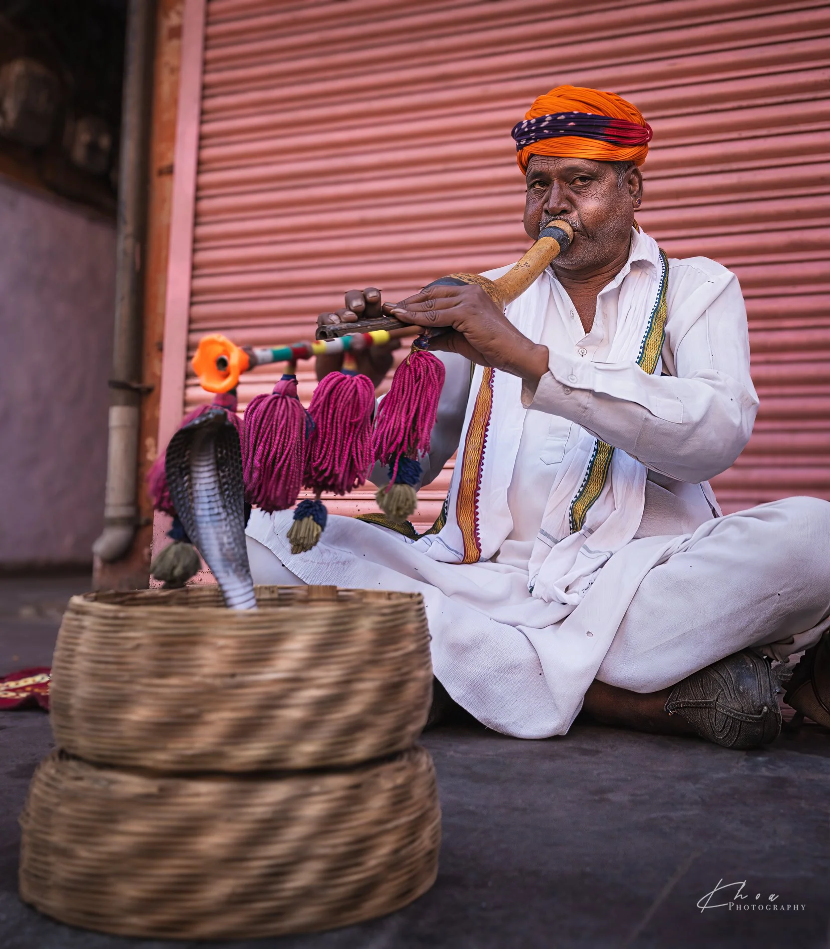 Snake Charmer with Cobra Rising
Jaipur, India