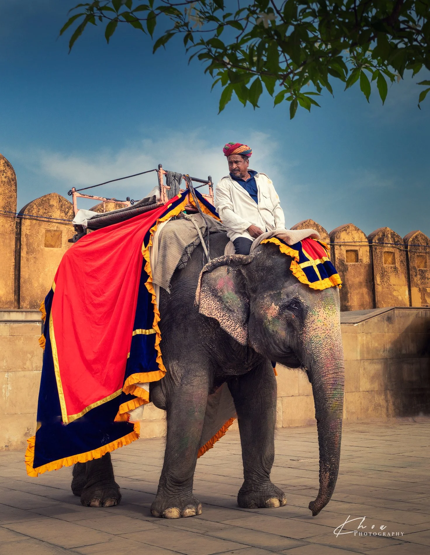 Elephant Rider
Amber Fort, Jaipur, India