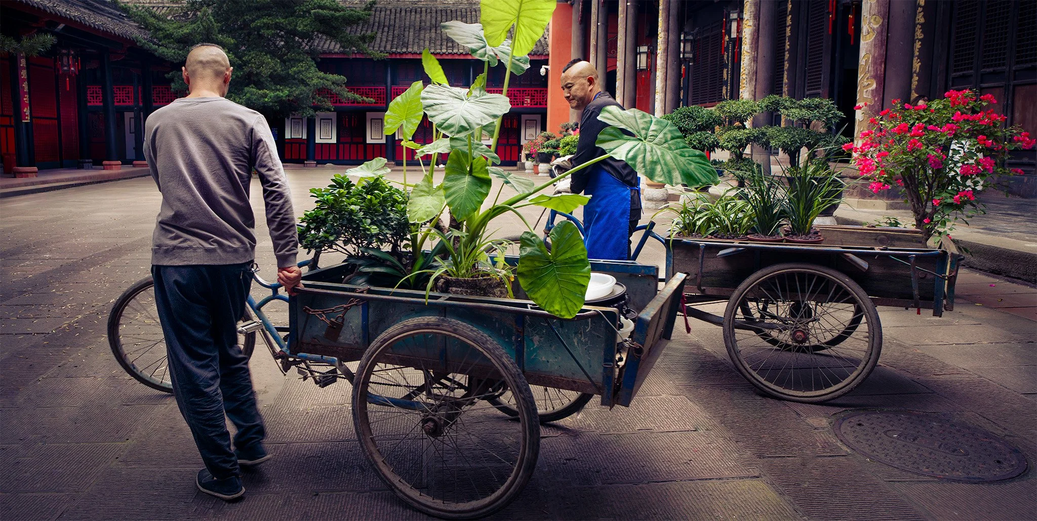 Gardeners at Wenshu Monastery, Chengdu
(Hasselblad X2D II 100 C | 25 MM | F 7.1 | 1/80 S | ISO 200)