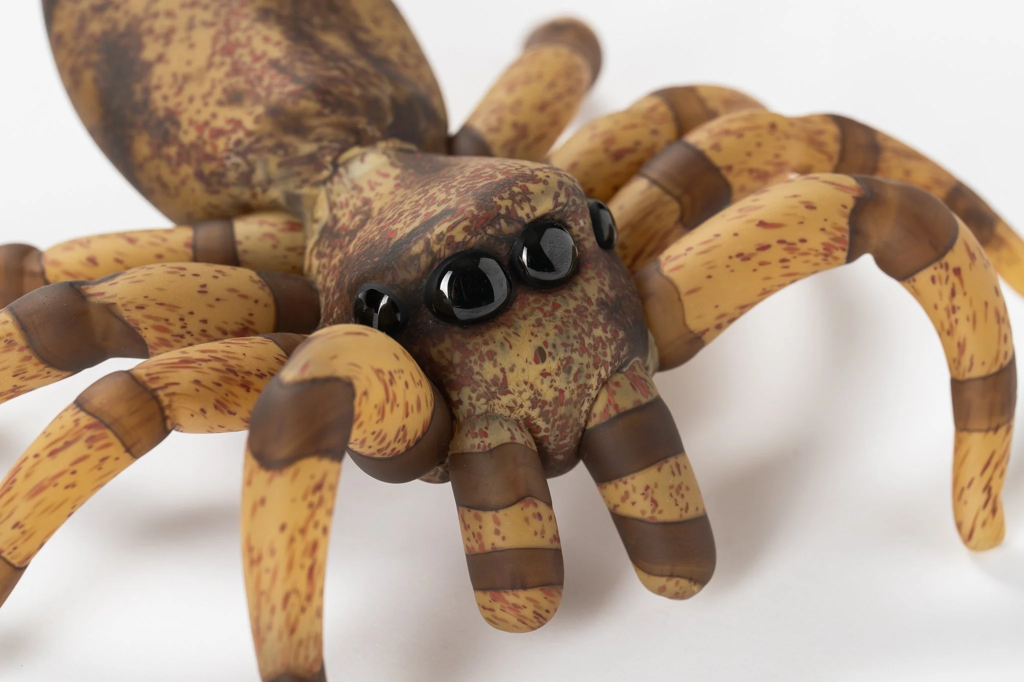 Kathryn_Starrs_October_Image-13-© 2025 Connor Patterson Photography.jpg