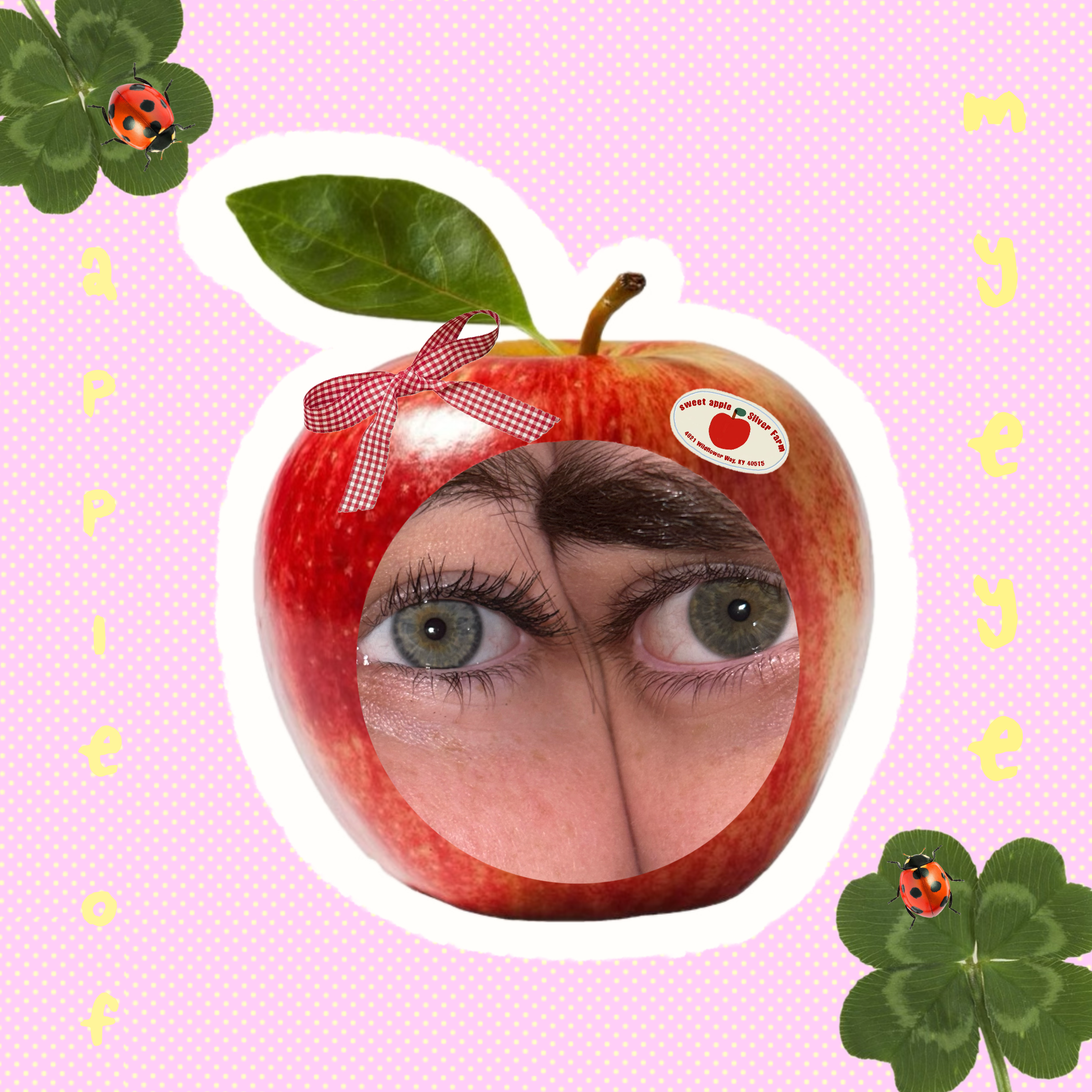 exampleappl.png