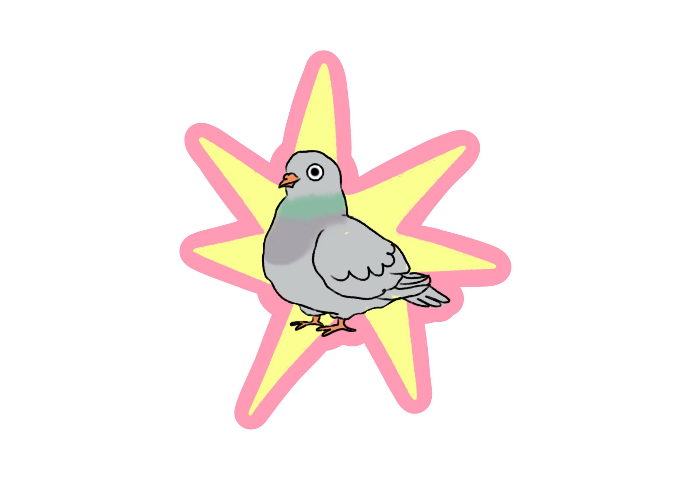 pigeon.png
