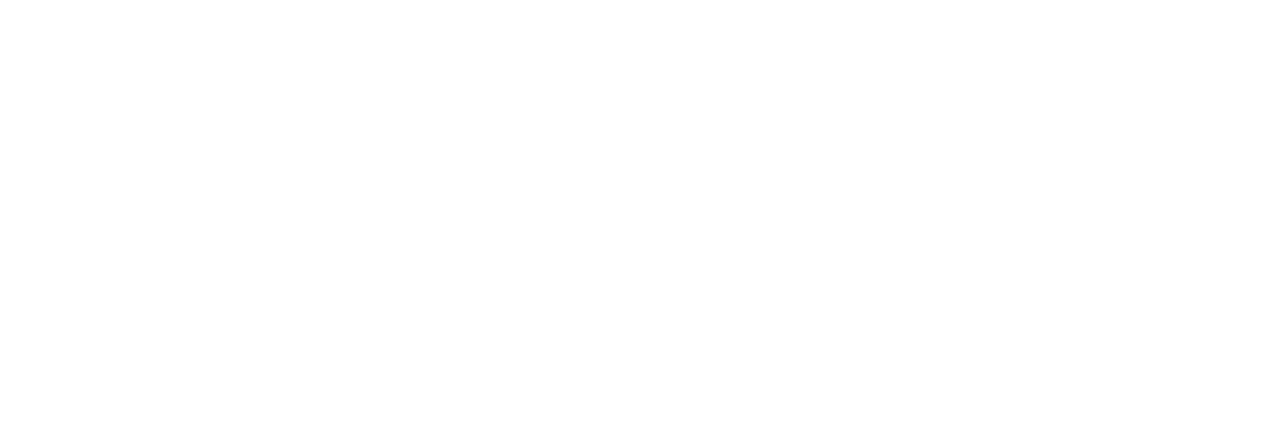 Text in a cursive font that reads 'from wedding ceremony to reception'.