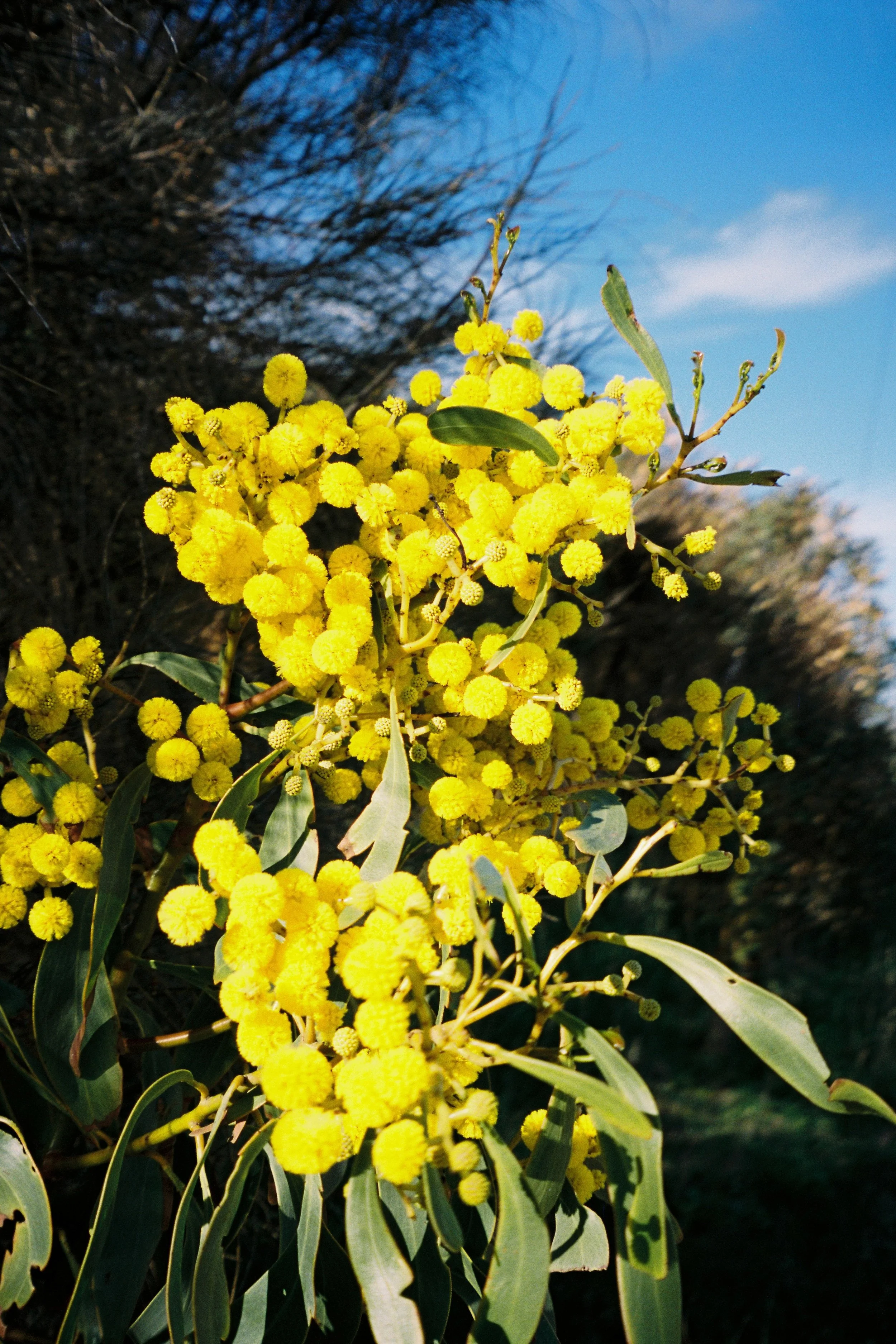 2025 08 26 ARCHE FINAL PRINT-1.jpg