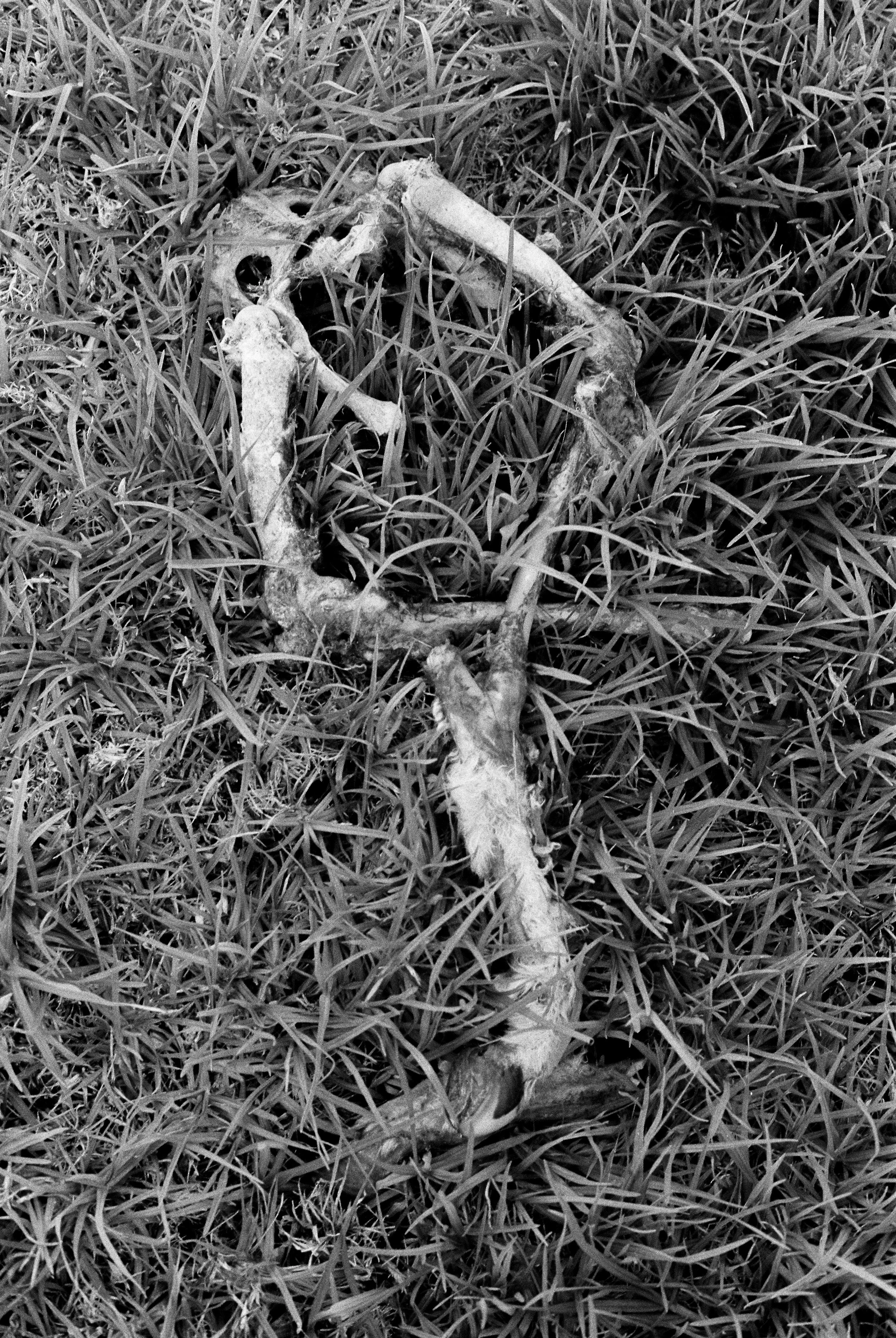 2025 08 26 ARCHE FINAL PRINT-5.jpg