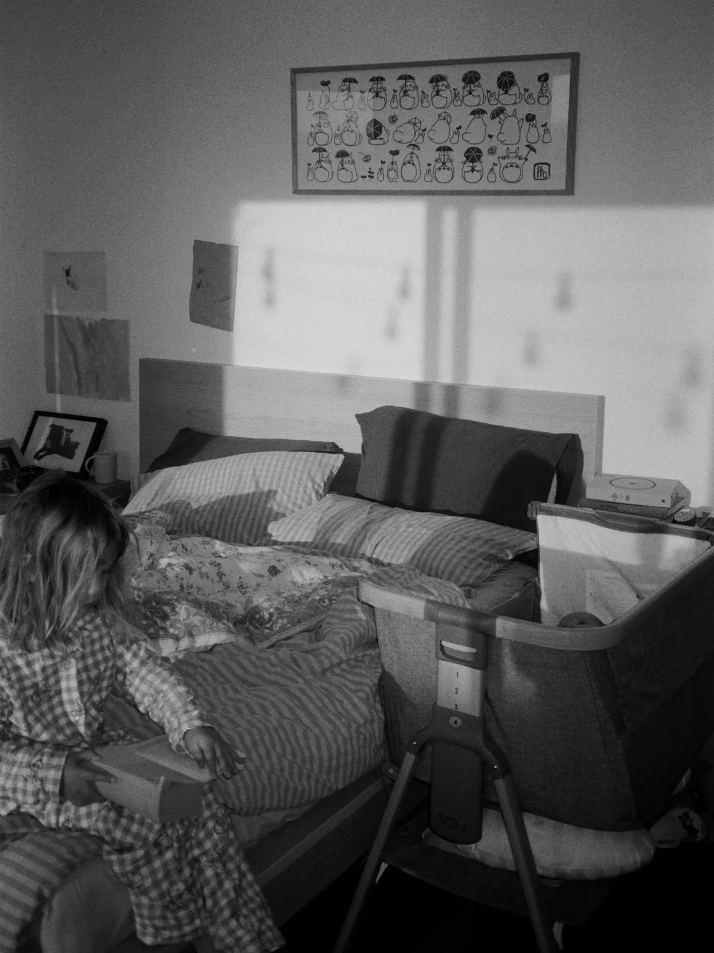 my whole world on a monday morning 

-
-

beautiful dev + scans by @ikigaifilmlab