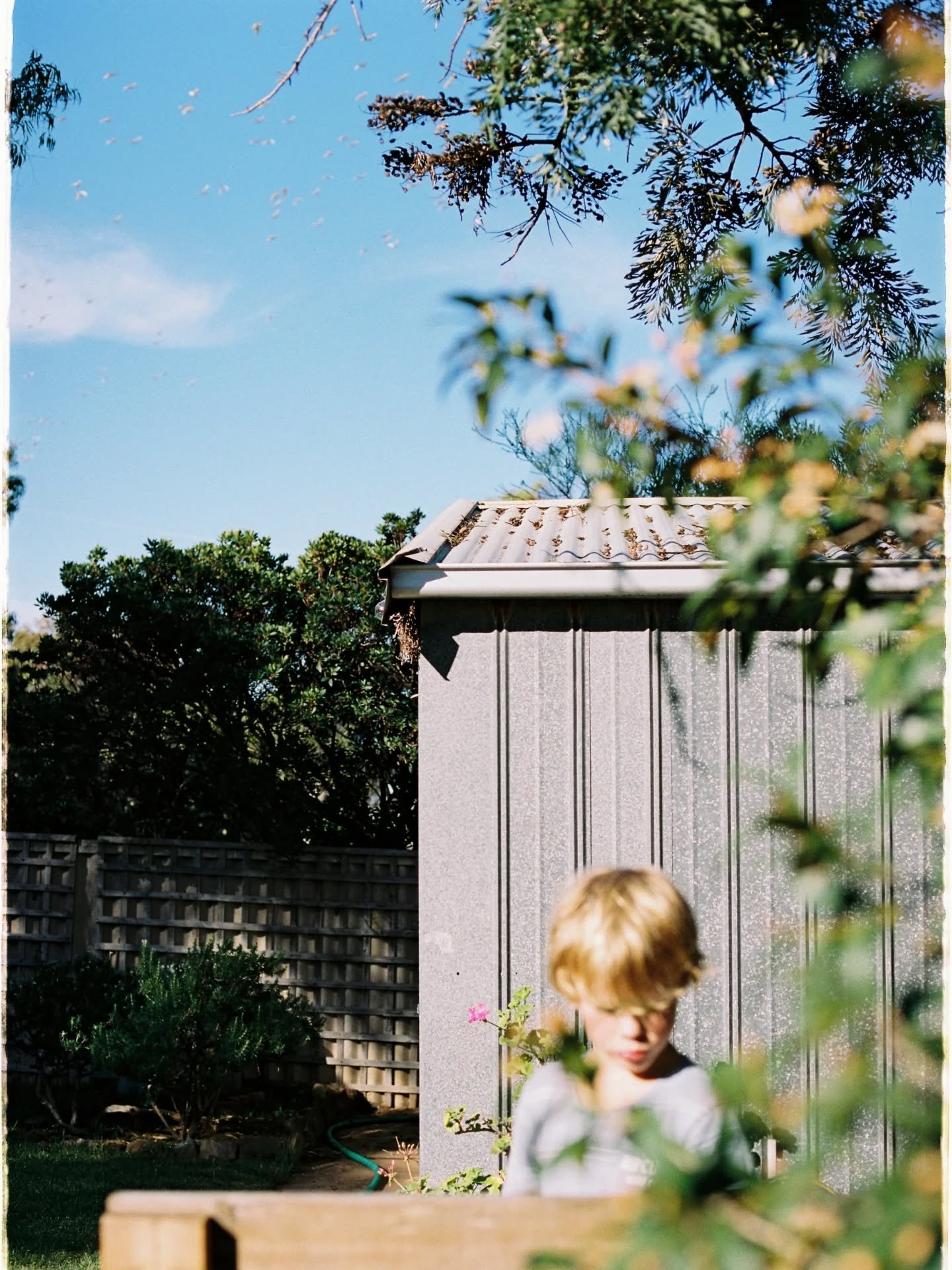 casey+bowie, at home in autumn.

love love love a home session where we can let the kids take the lead, lots of play, outfit changes, showing me all their favourite things - it's the best. and it's not lost on me how special it is to be invited into 