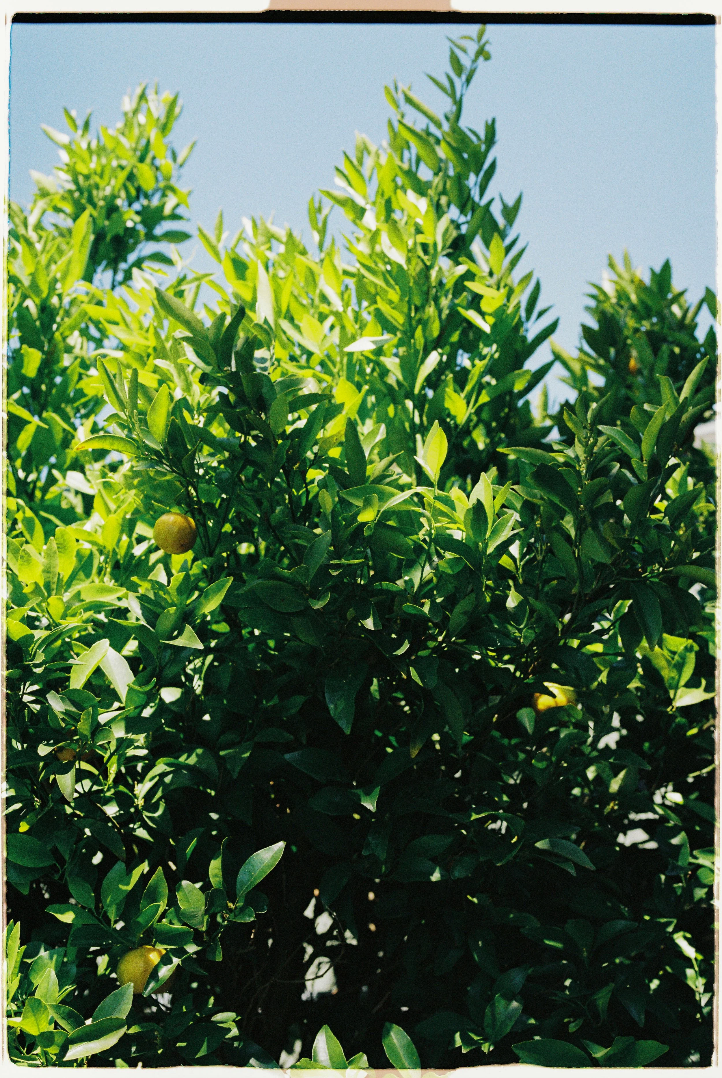 2025 11 NOVEMBER FILM-9.jpg