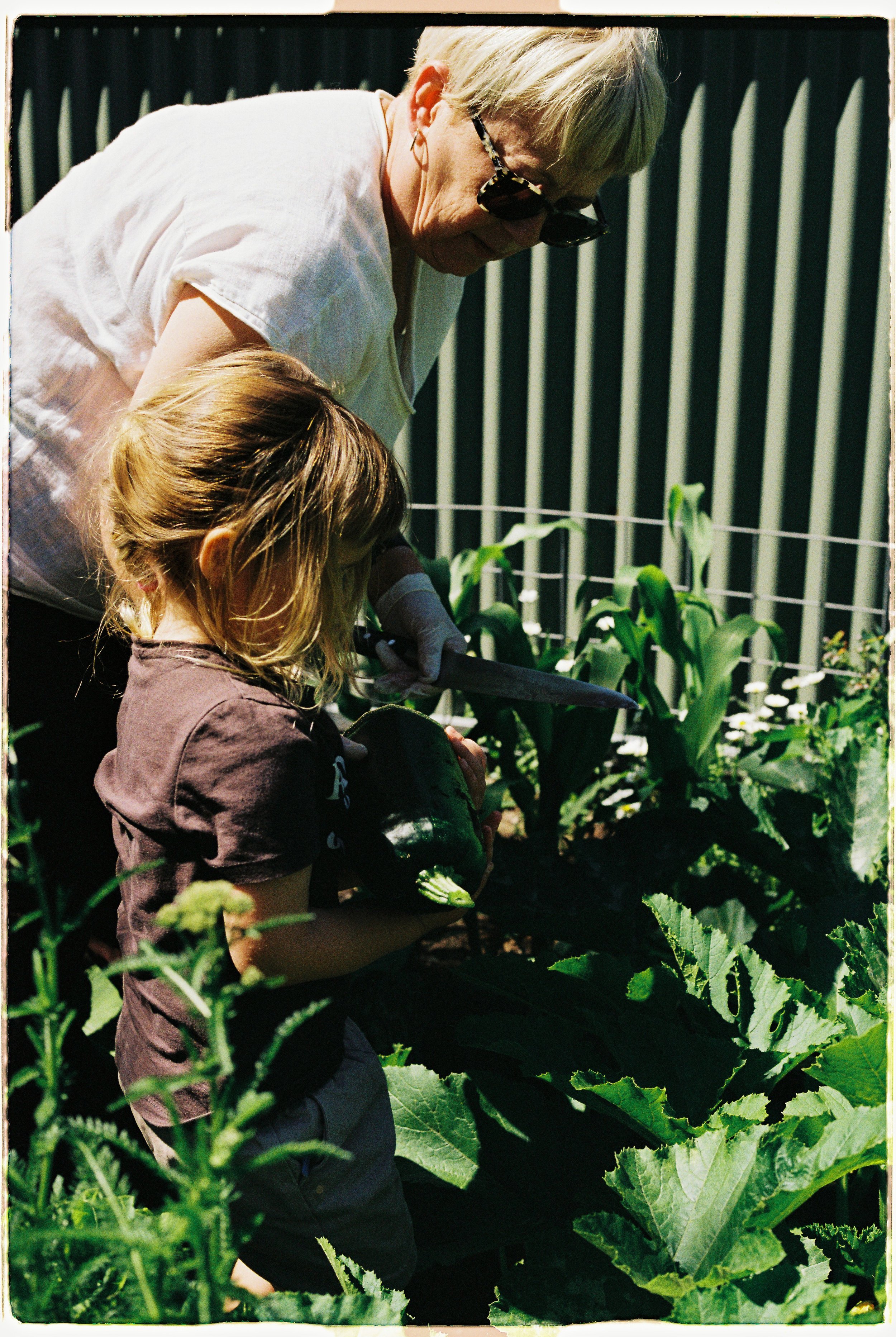 2025 11 NOVEMBER FILM-11.jpg