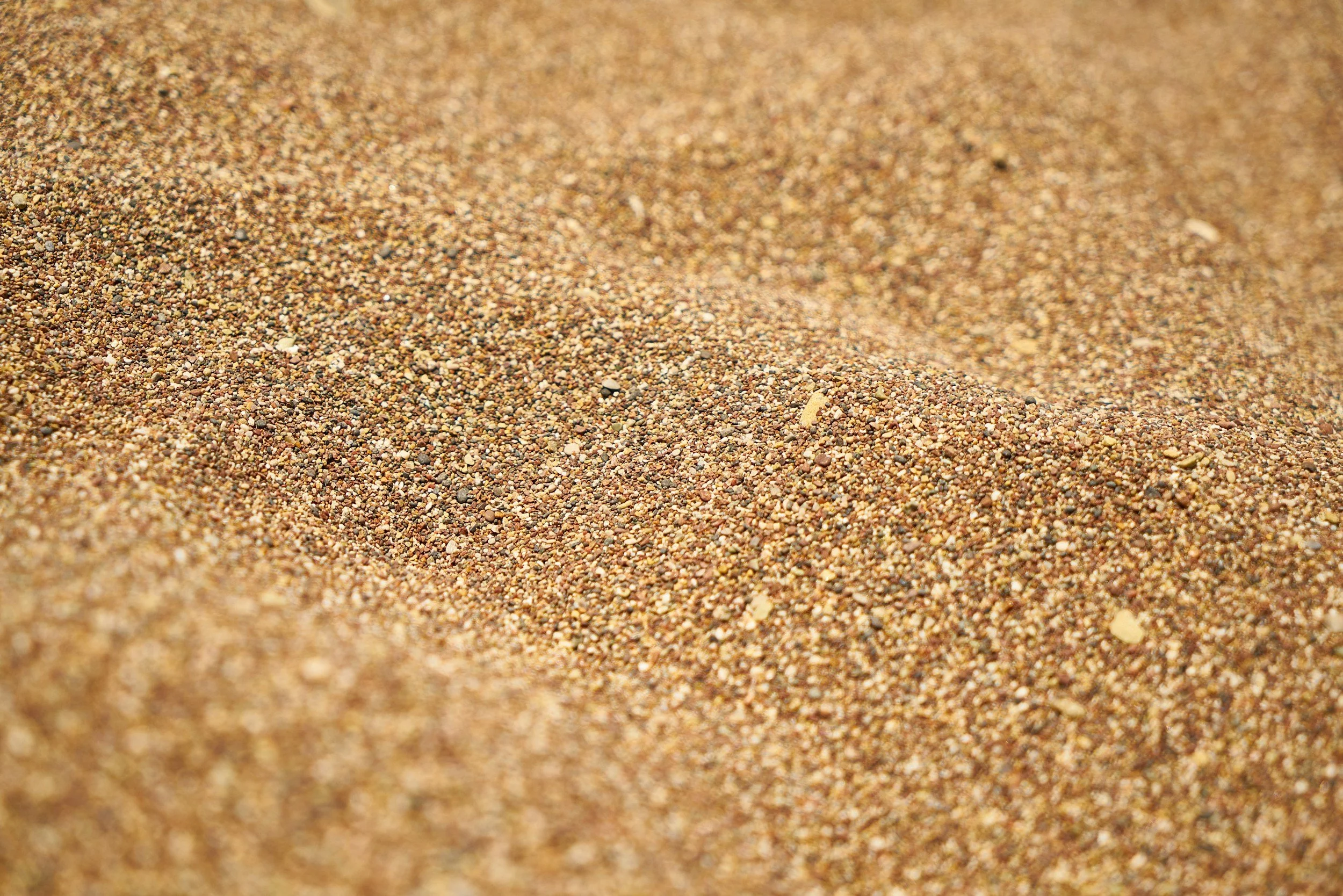 Steel Cut Oats Recipe