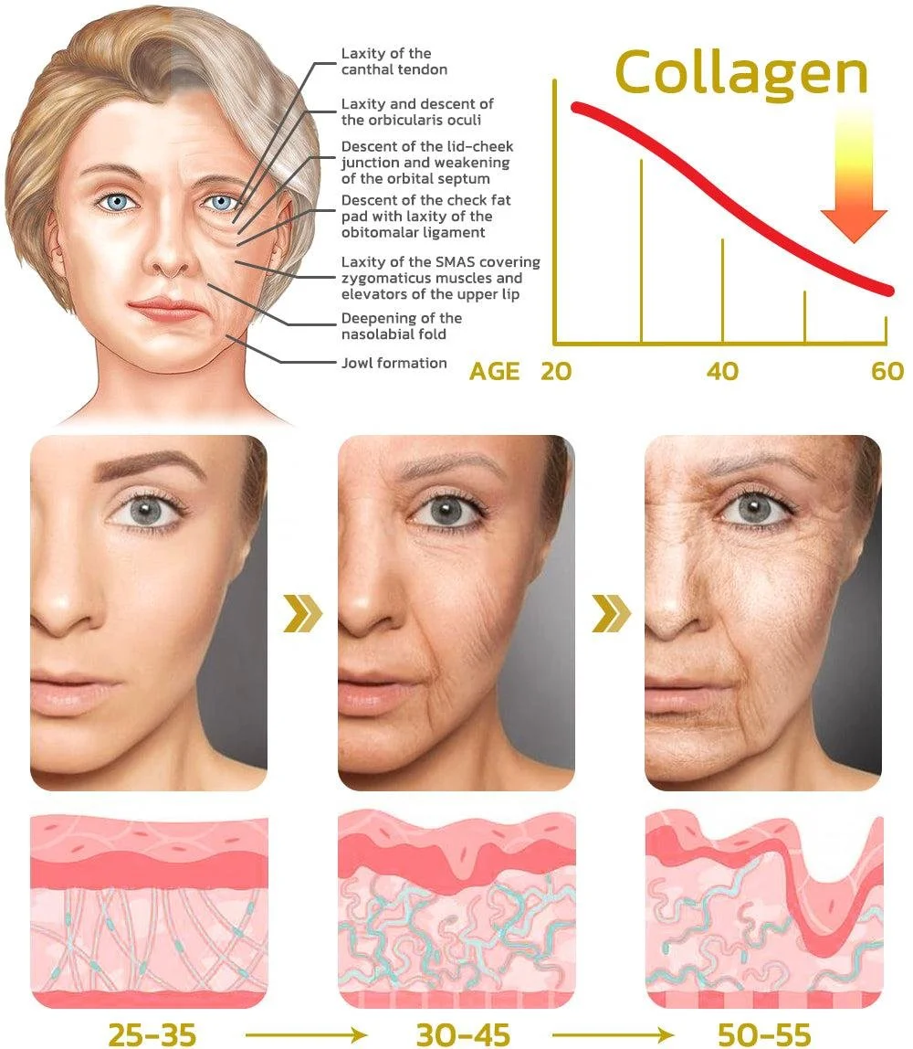 Skin &amp; Ageing