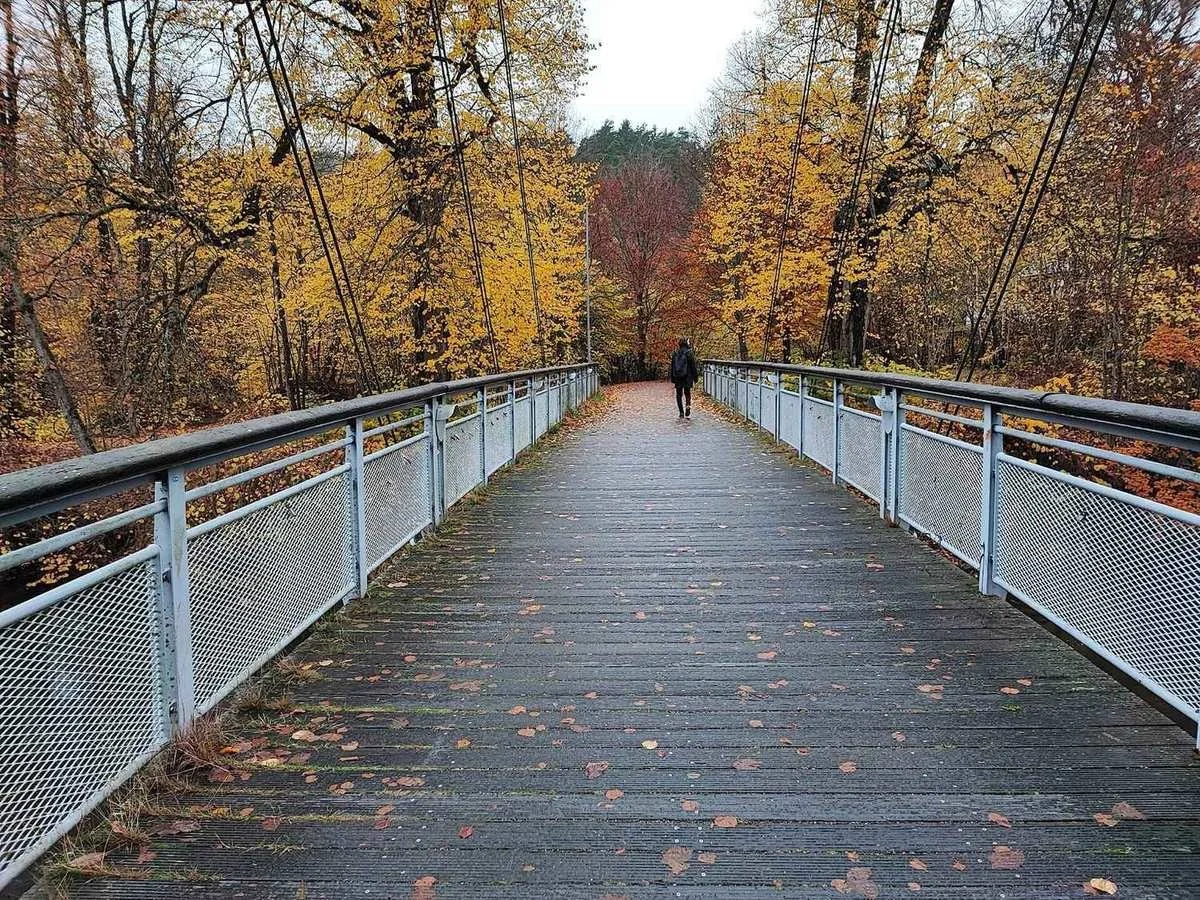 Promenad över gångbron vid Säveån i Jonsered omgiven av höstskog.