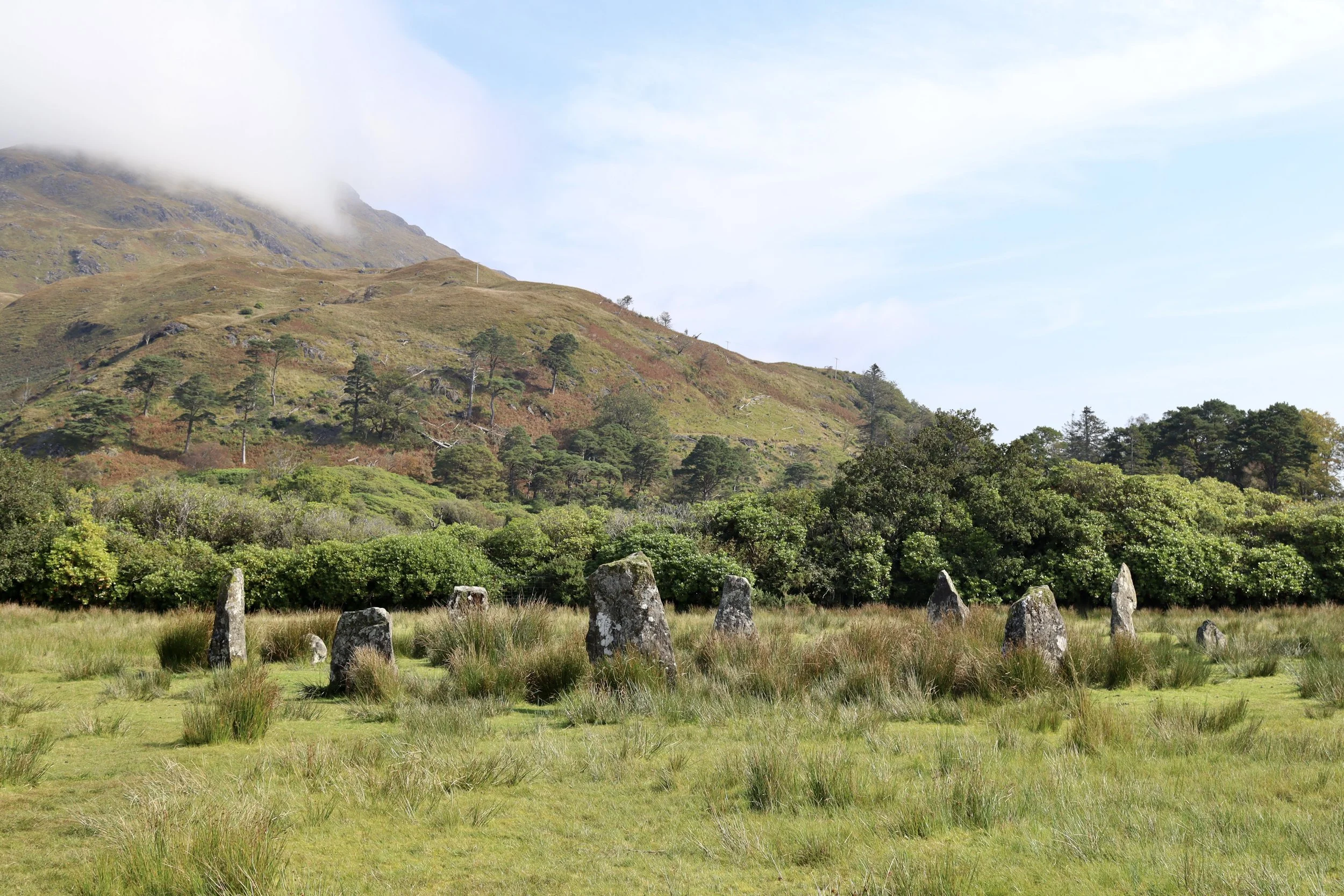 A grassy field with a circle of standing stones, green bushes, and a hillside with trees and mist in the background.