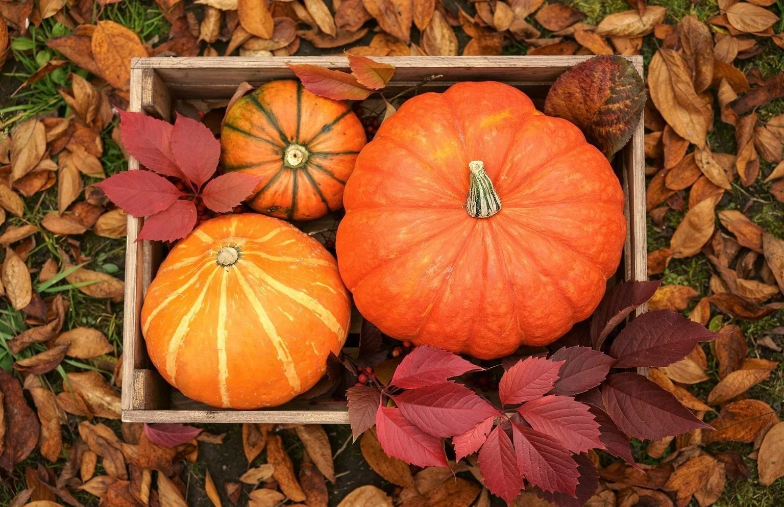 Fall in Ventura County: A Season for New Beginnings