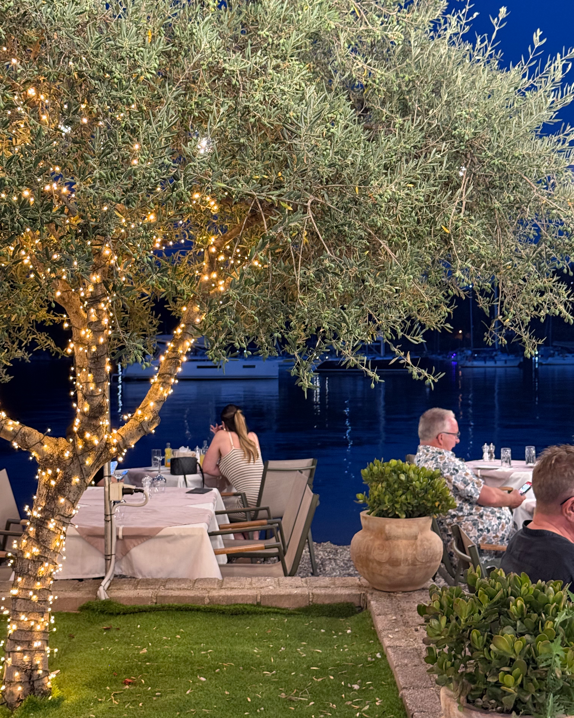 Outdoor dining by the water at nighttime, decorated with string lights wrapped around a tree, with people seated at tables near the water, boats docked in the background, and lush green plants in pots.