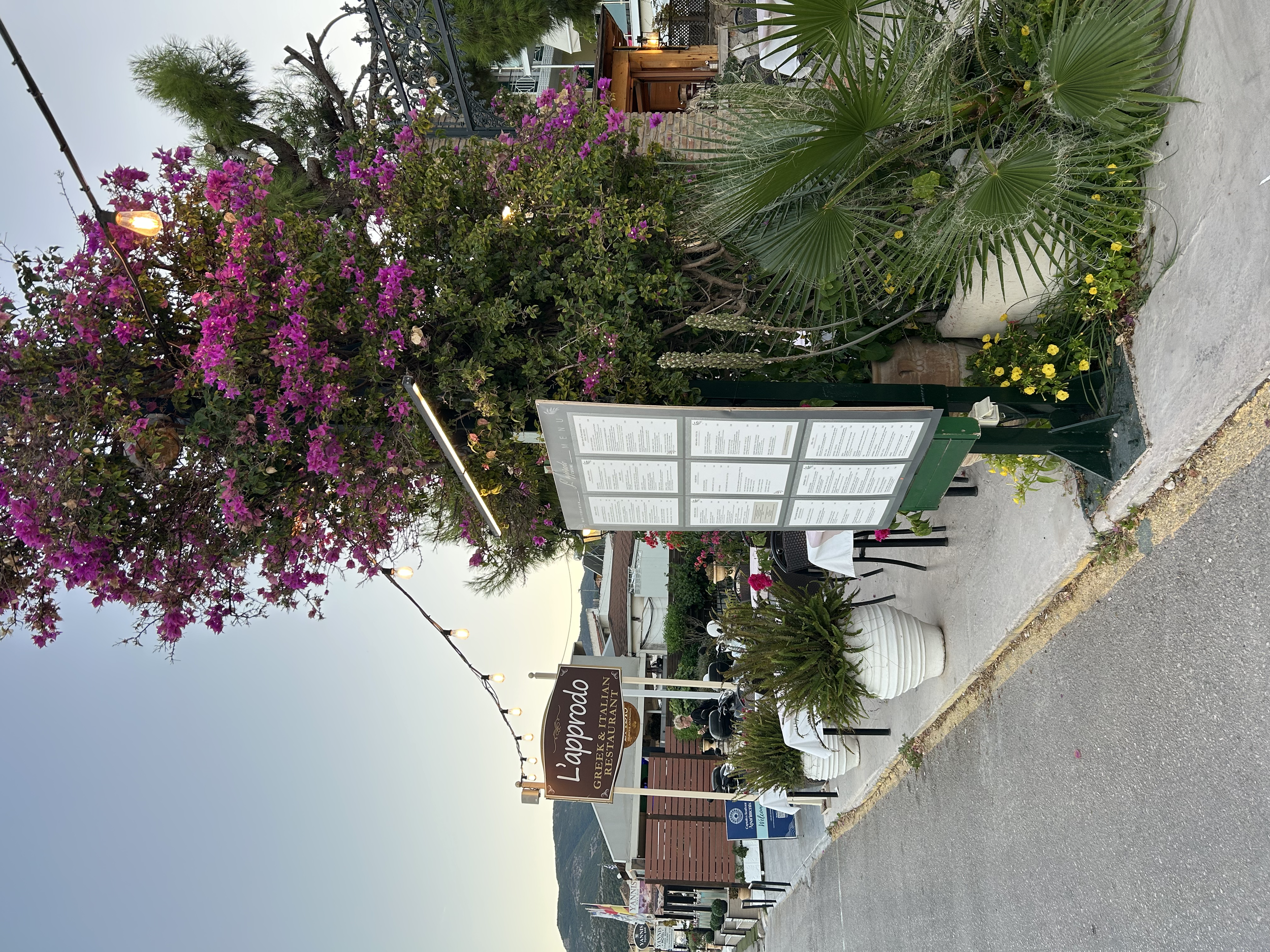 Outdoor restaurant patio with potted plants, a colorful flowering tree, and a menu stand.