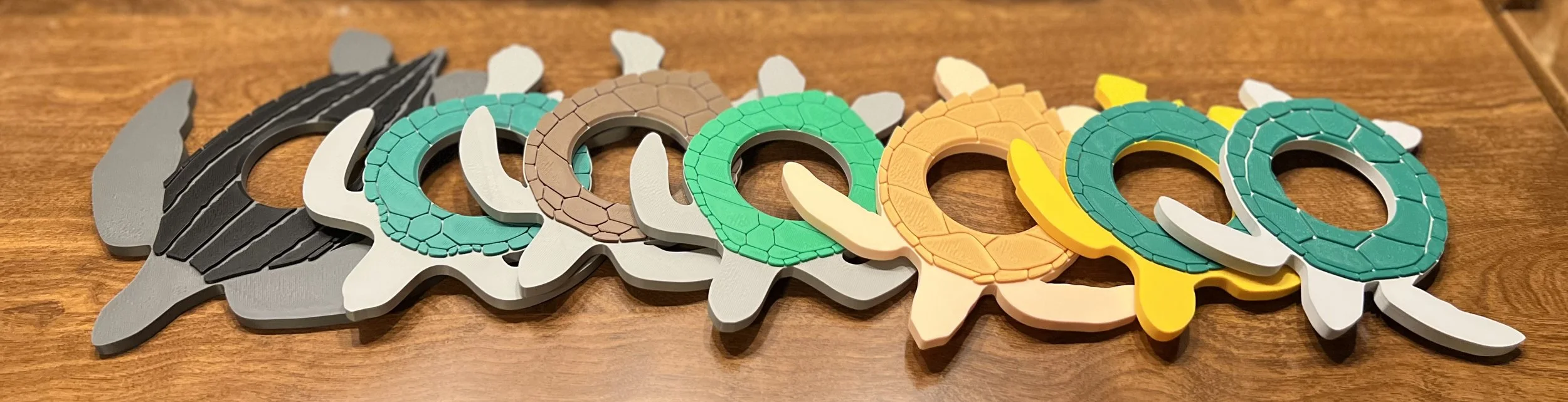 STEM Activity - Sea Turtle Game