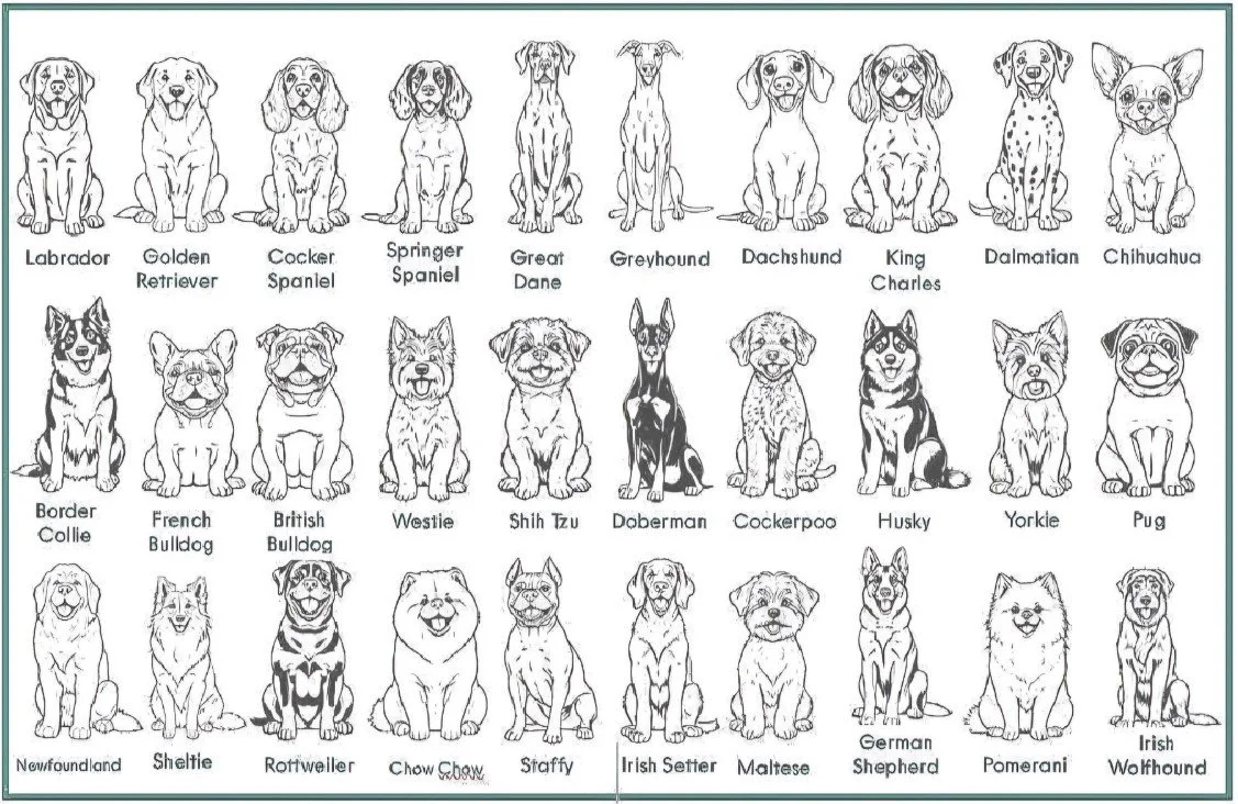 pawprint 2.jpg