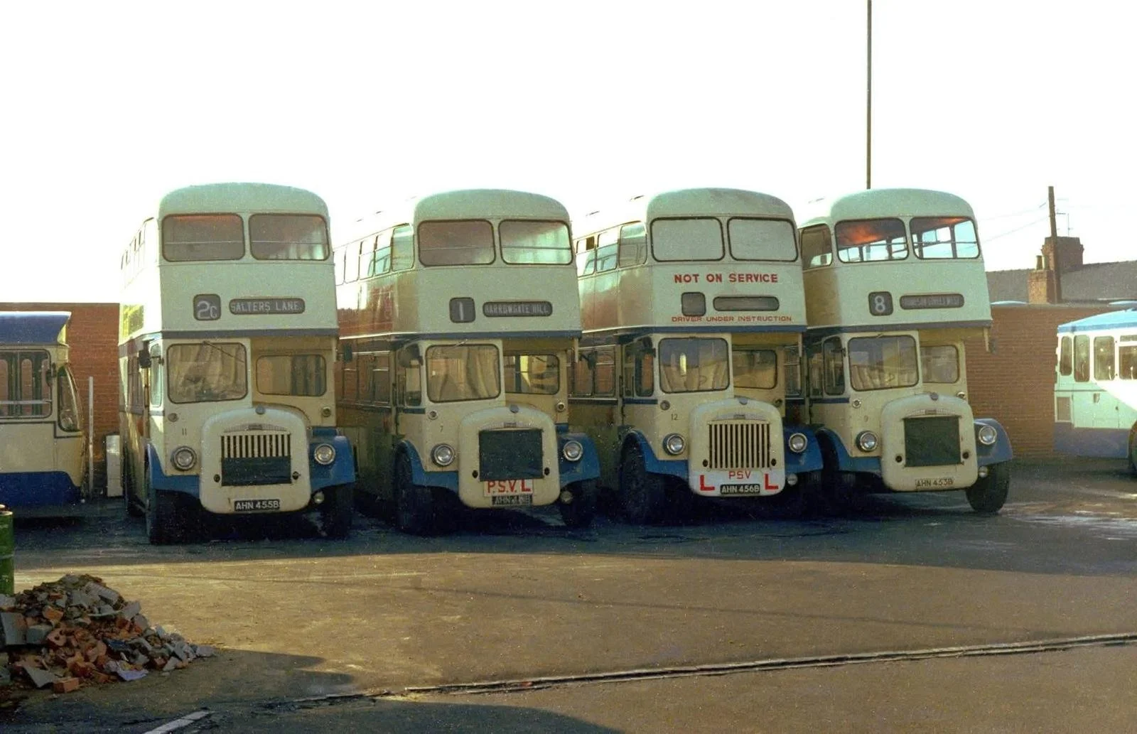 A row of vintage double-decker buses parked outside, with some displaying route destinations and signs like 'Not on Service' and 'Salters Lane'.