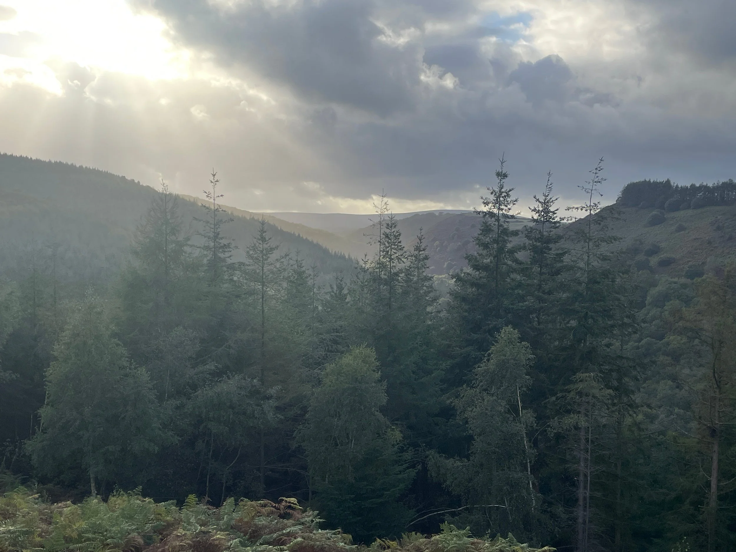 Female trail runner review
