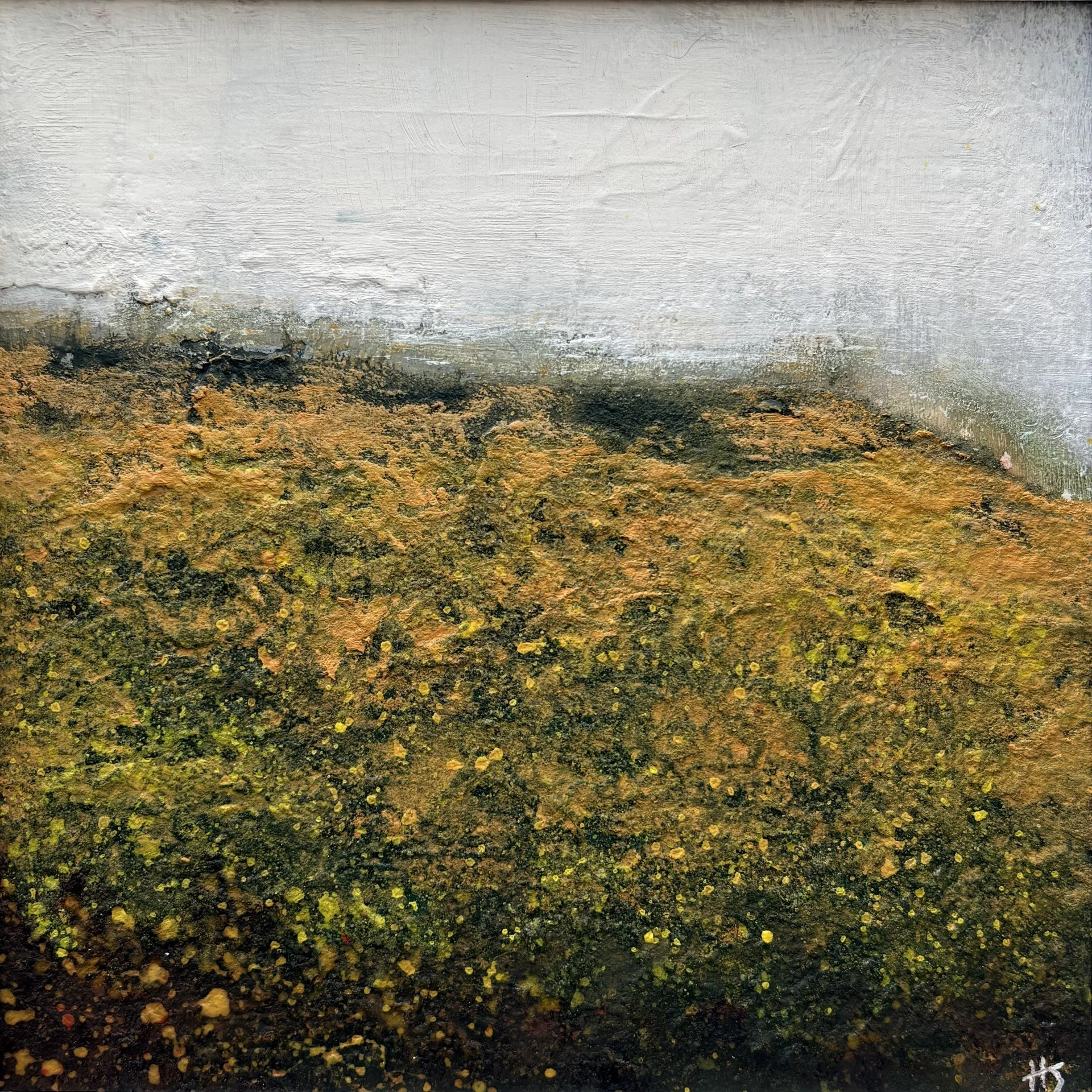 Where the Golden Gorse Blooms (Copy)