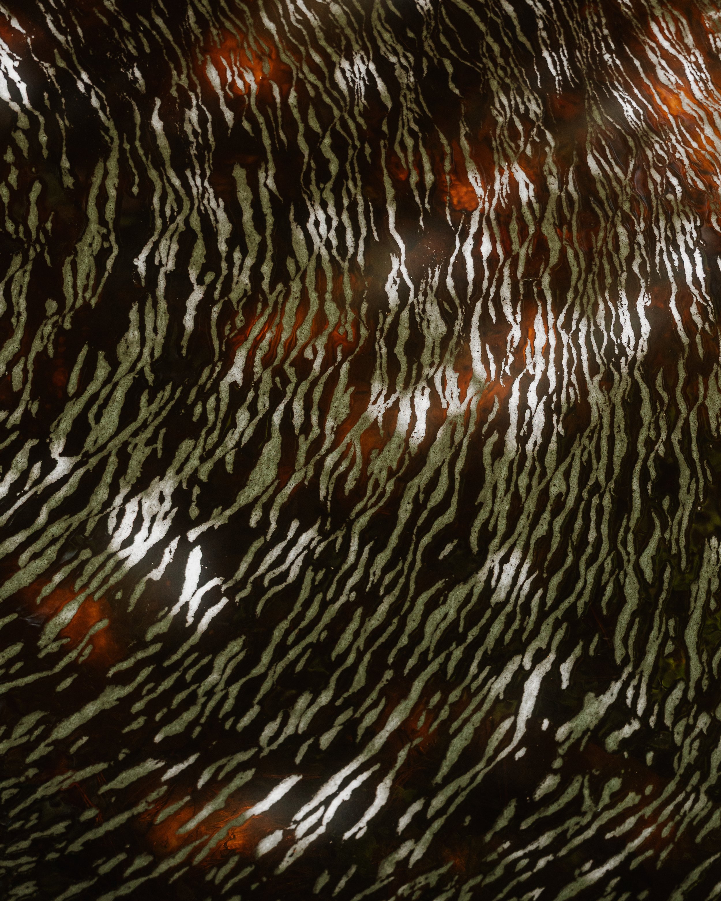 CJR05630.jpg