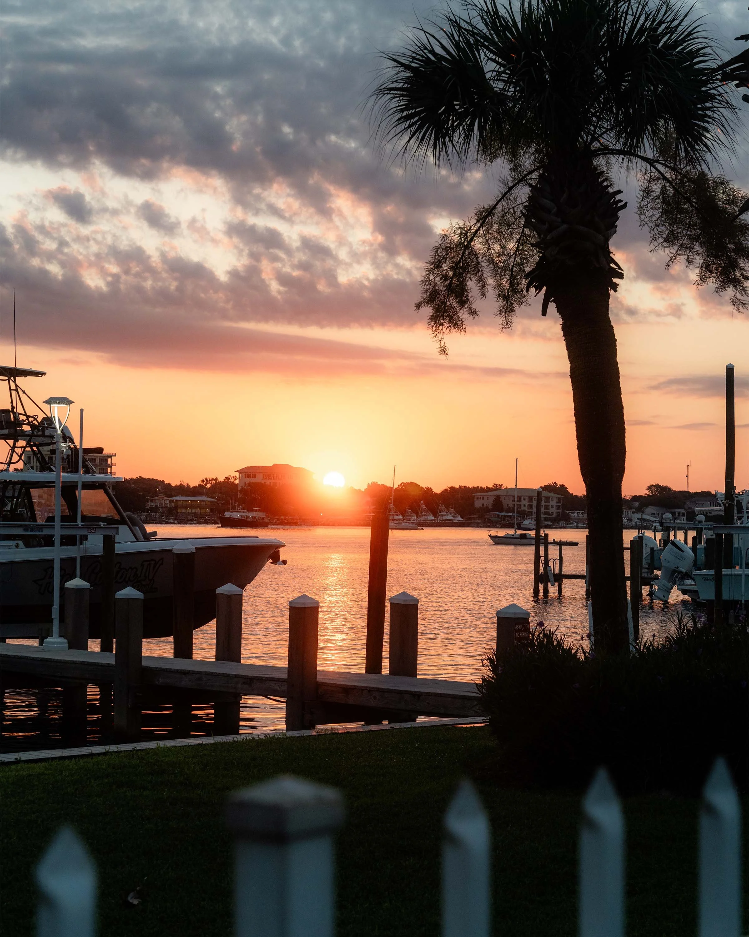Sunset over a marina with boats, a palm tree, and a white picket fence in the foreground.