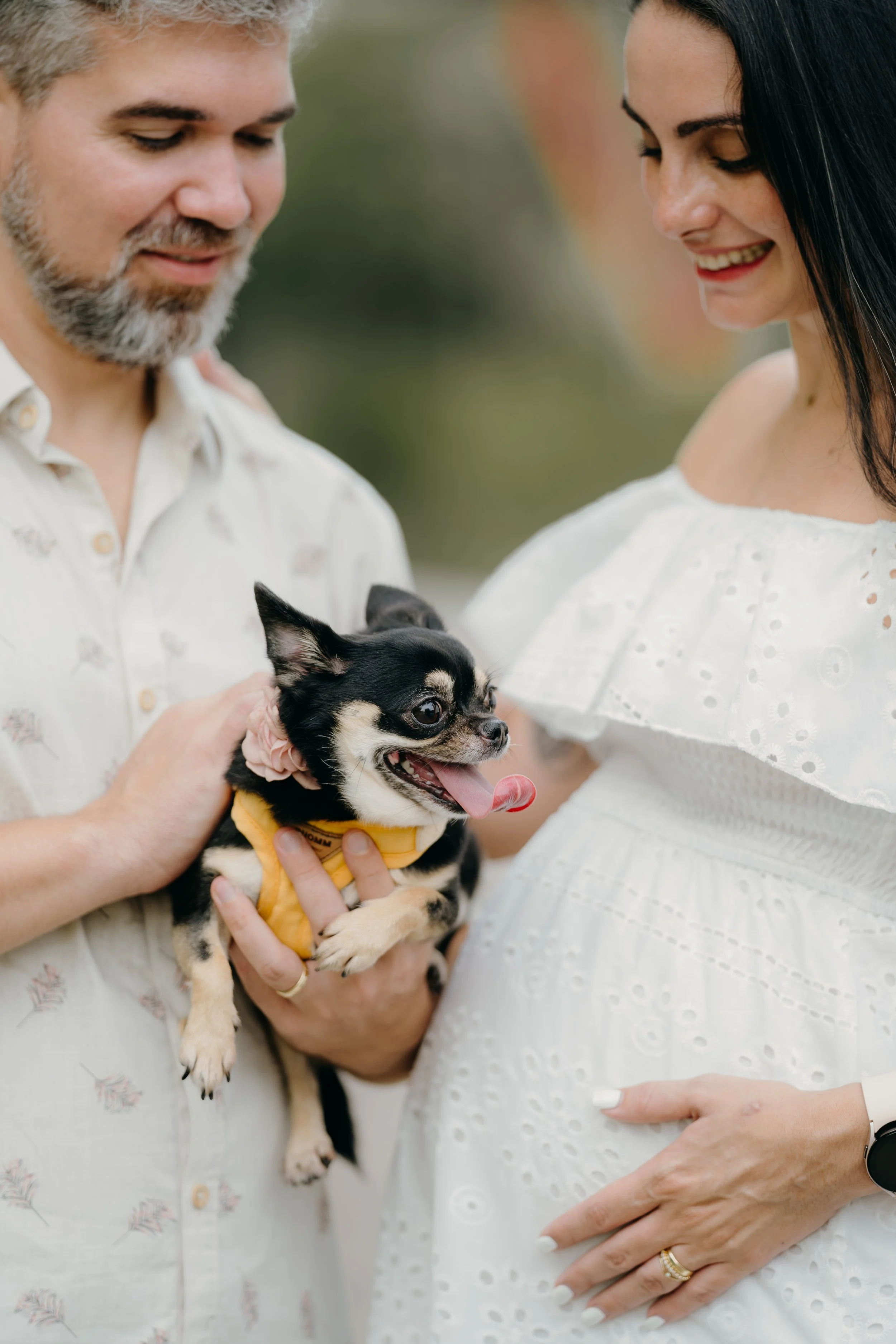 A man and a pregnant woman smiling at a small black and tan Chihuahua dog, which the man is holding. The dog is wearing a yellow outfit and a pink bow and appears happy with its tongue out.