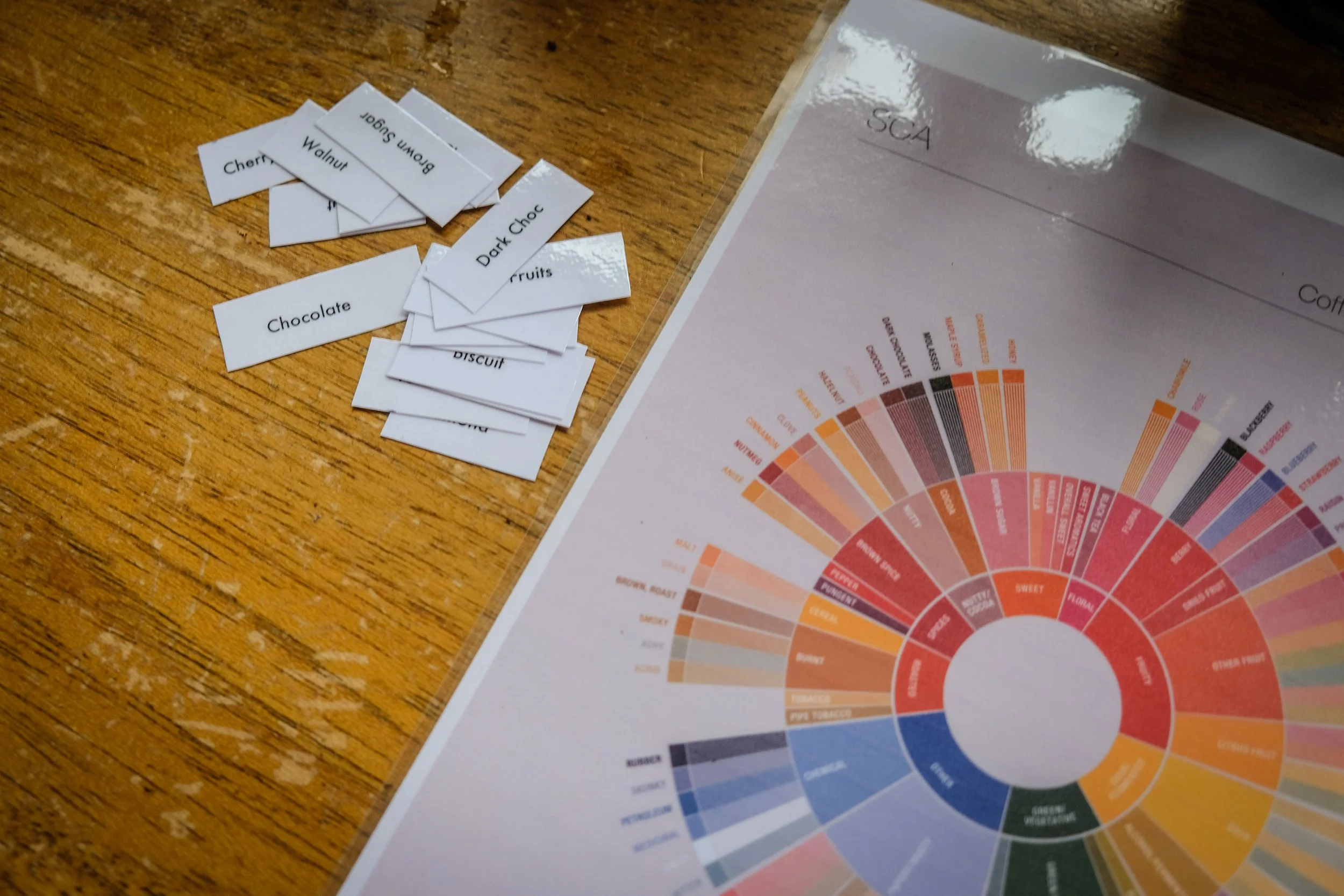 An SCA sensory flavour wheel chart on paper for coffee tasing with names like chocolate, walnut, and dark chocolate on a wooden table.