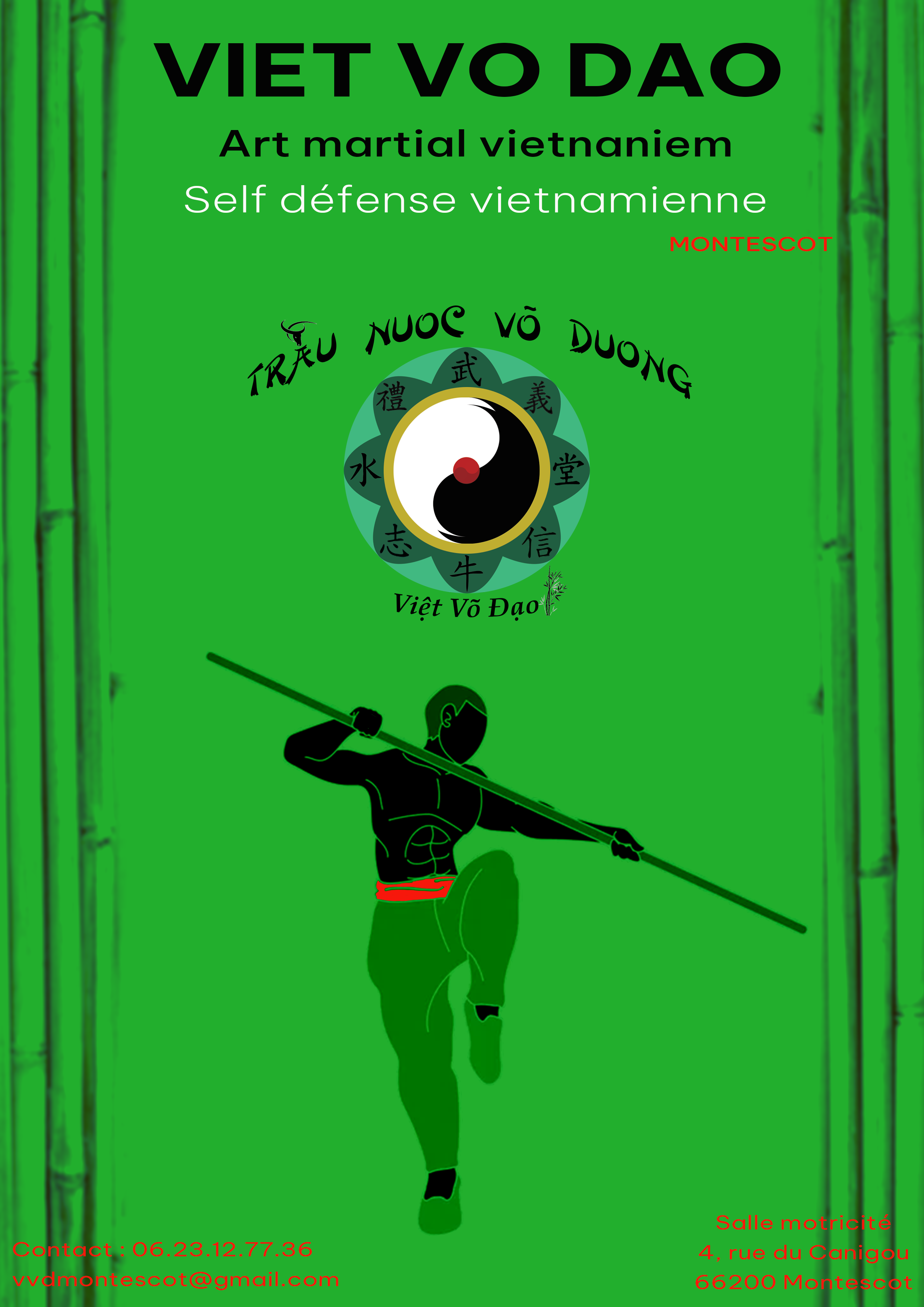 Affiche viet vo dao 2 Montescot 2023.png