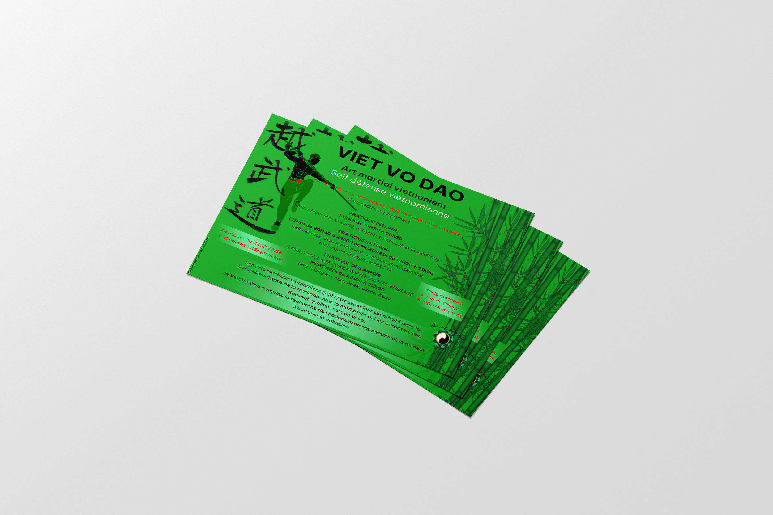 Mockup Flyer VIET VO DAO.png