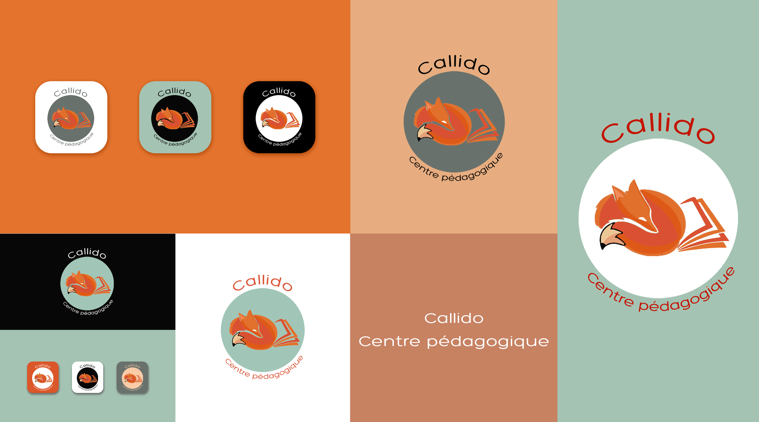 Logo Callido Etapes de création NEW.png