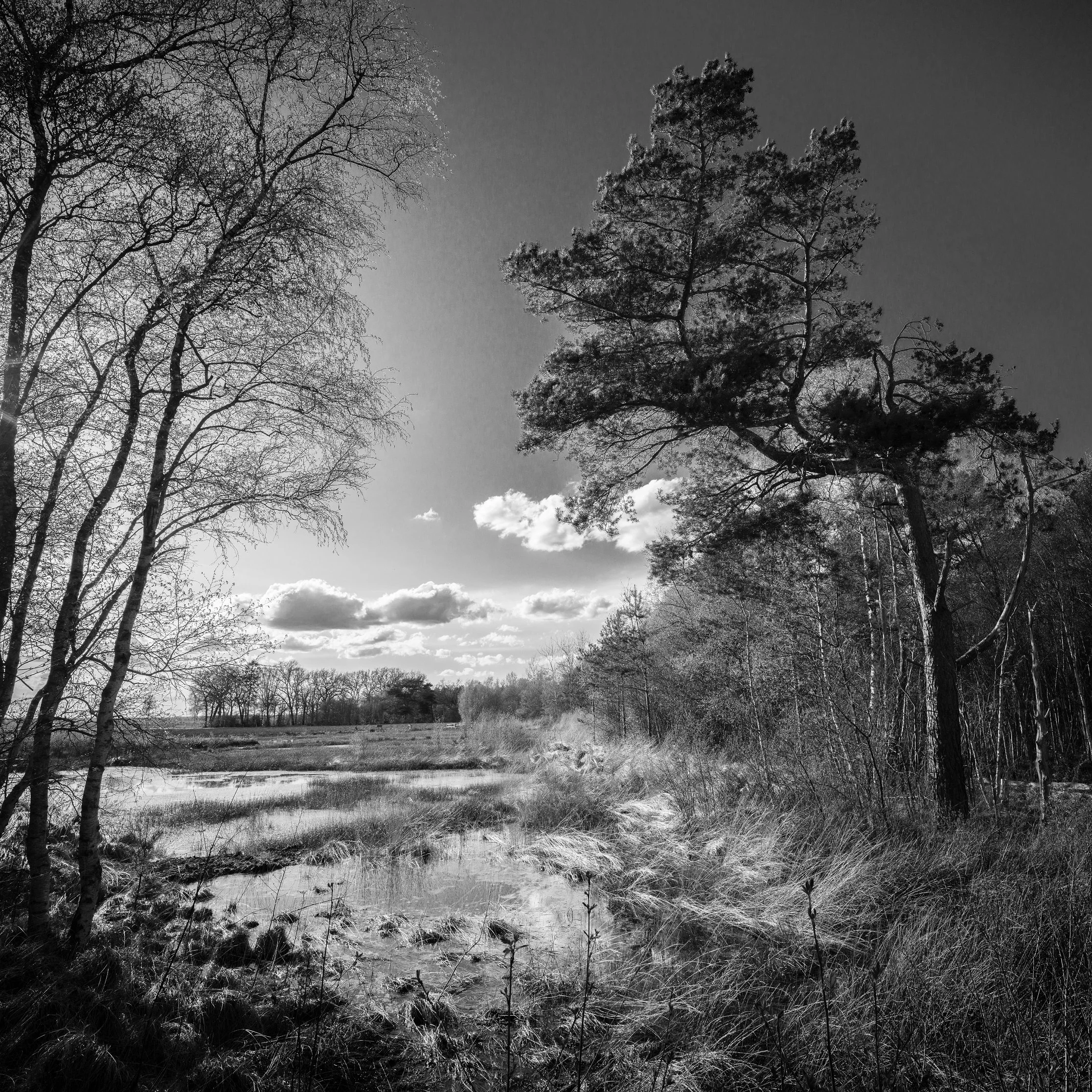 DE Gnarrenburg Moorland 03 Stelling.jpg