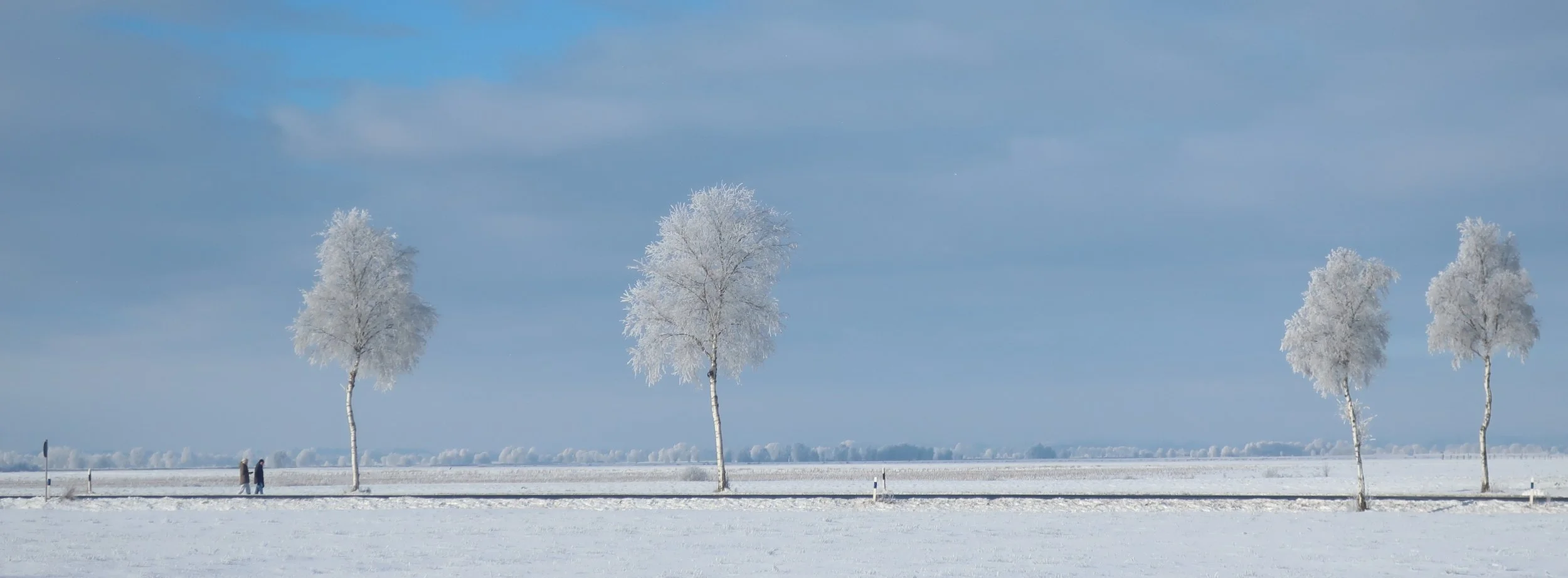 DE Gnarrenburg Huvenhoop 2021-01-30.JPG