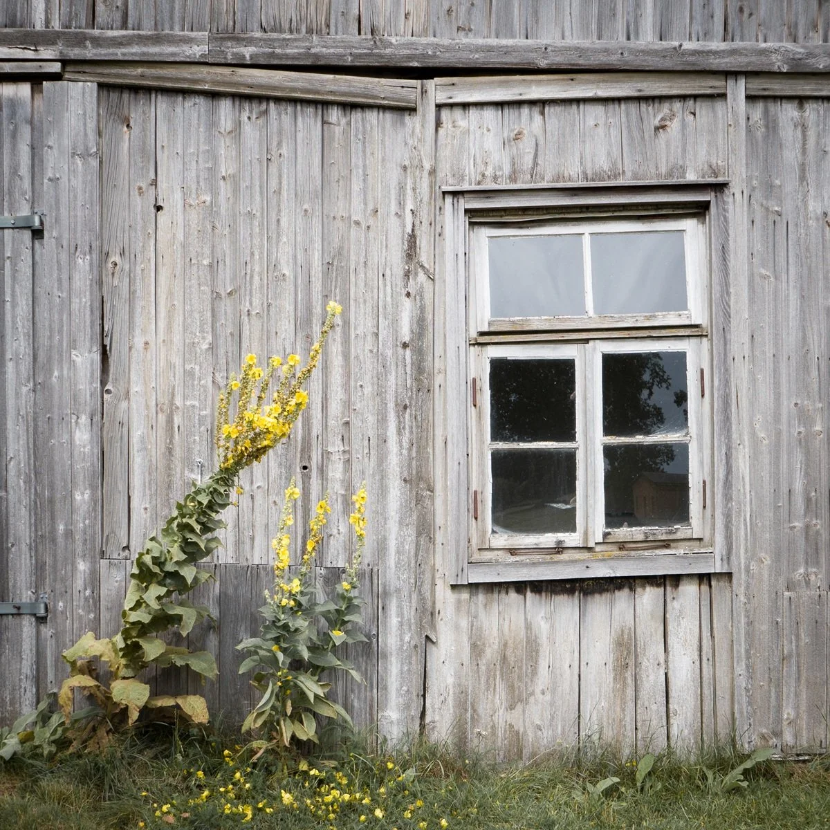 DE Sandbostel POW Stelling.jpg