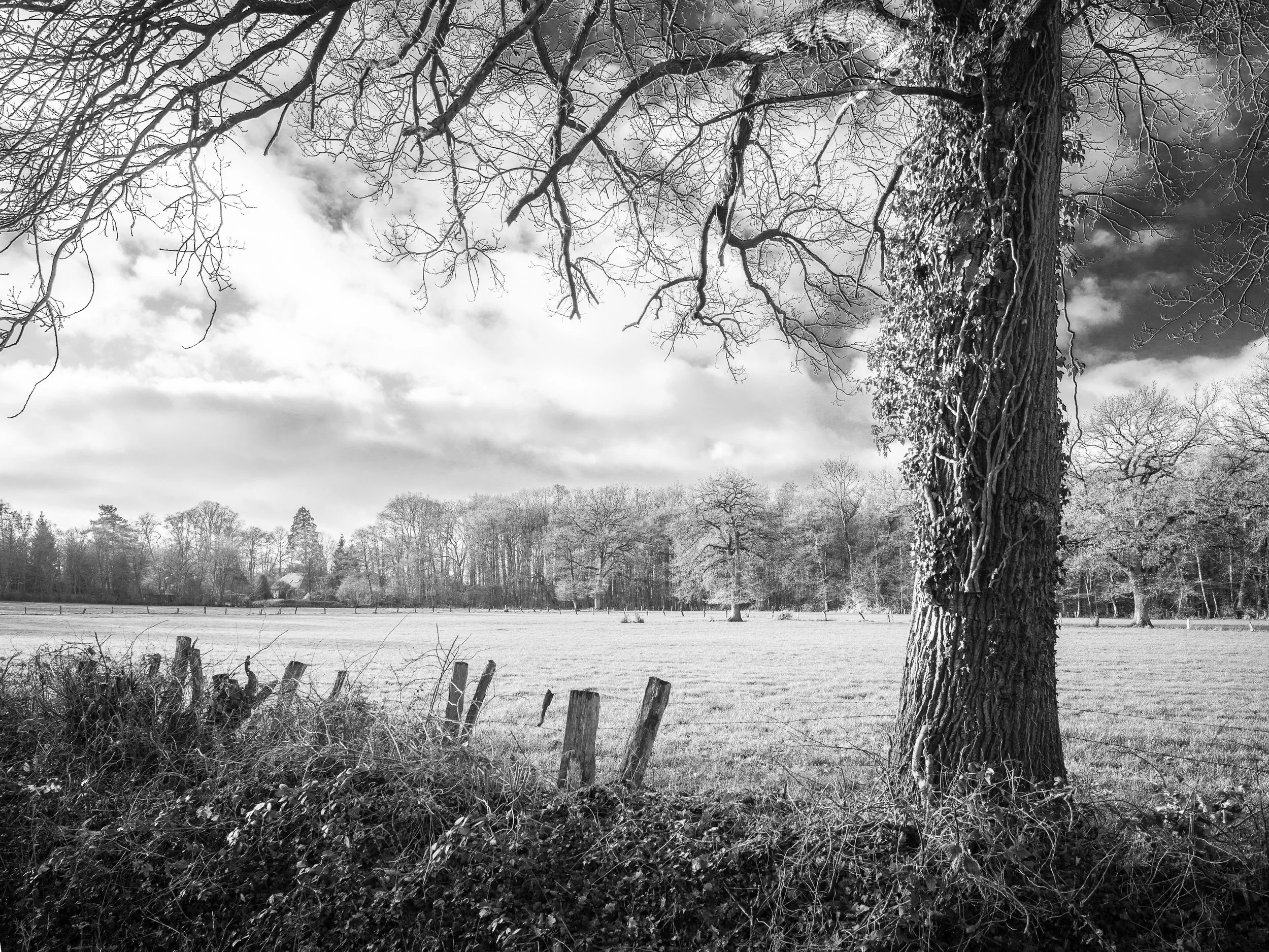 DE Bremer Schweiz 1 Stelling.jpg