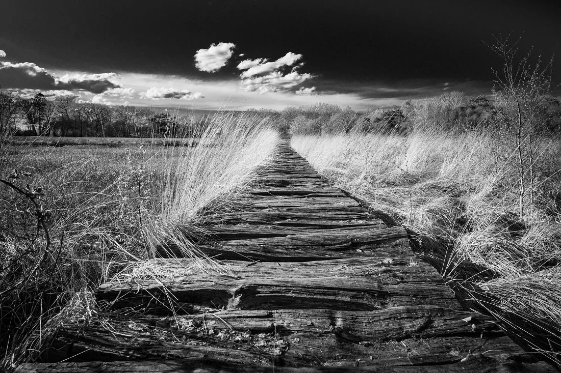 DE Gnarrenburg Hiking Trail Stelling.jpg