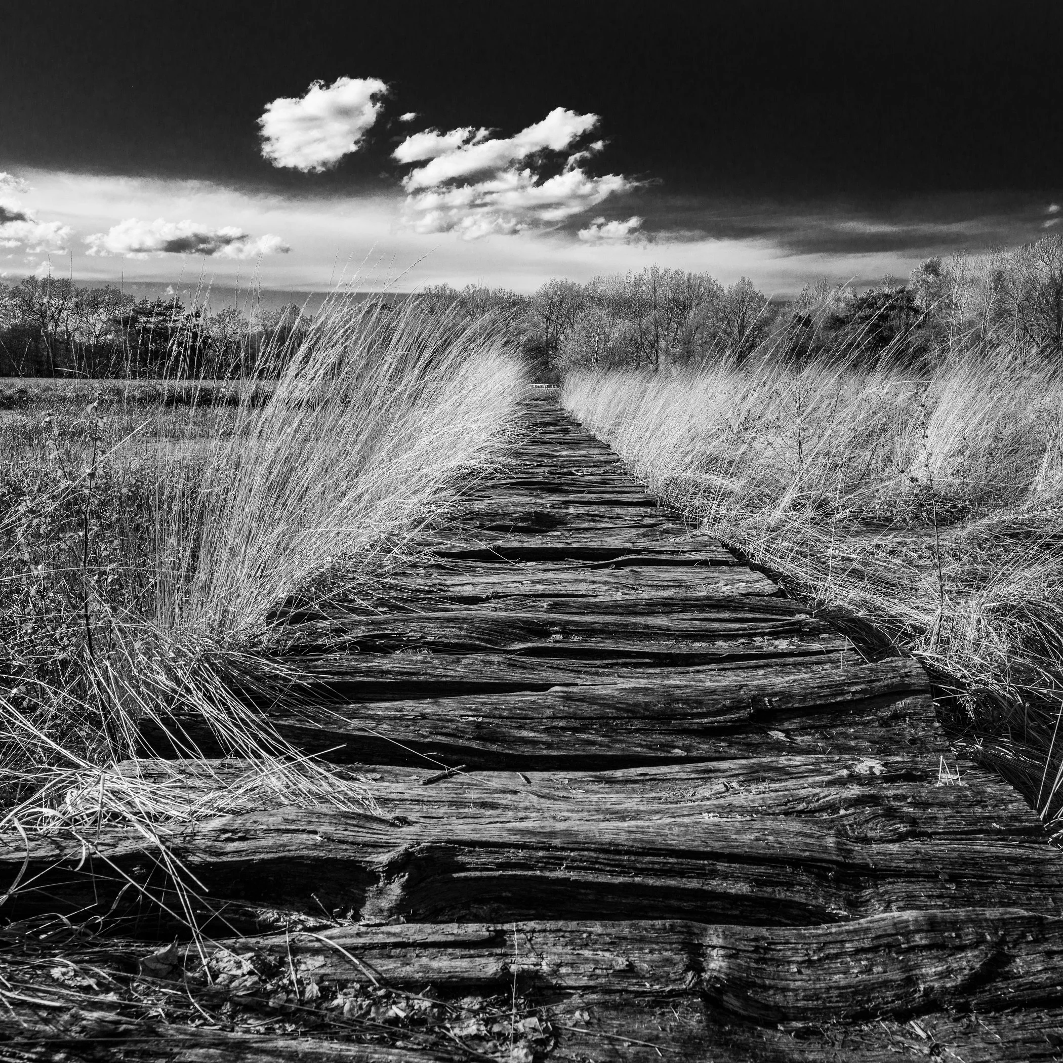 DE Gnarrenburg Moorland 05 Stelling.jpg