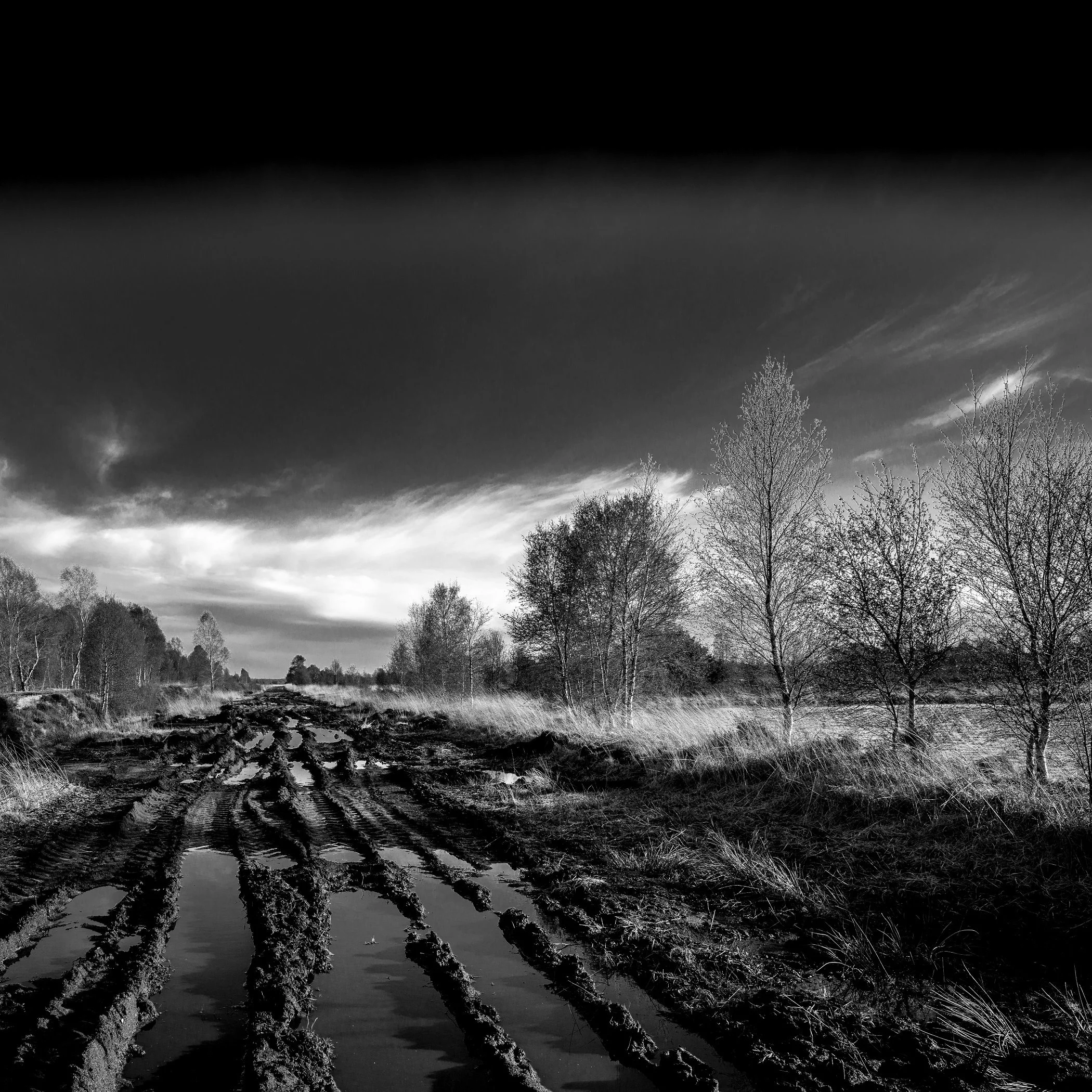 DE Gnarrenburg Moorland 04 Stelling.jpg