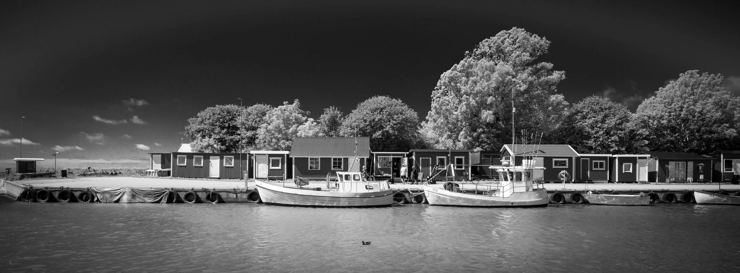 SE Smygehuk 2024-08-02 3.jpg