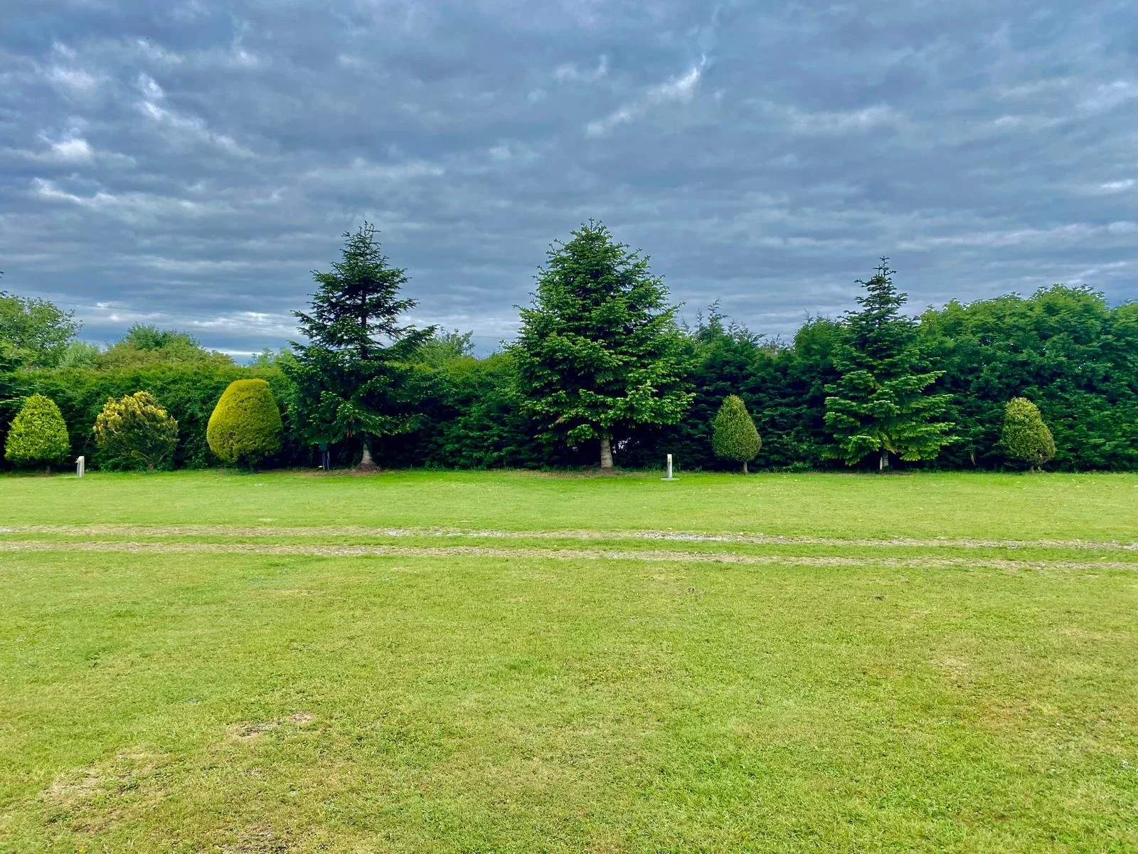 A grassy field with well-trimmed bushes and tall trees under a cloudy sky.