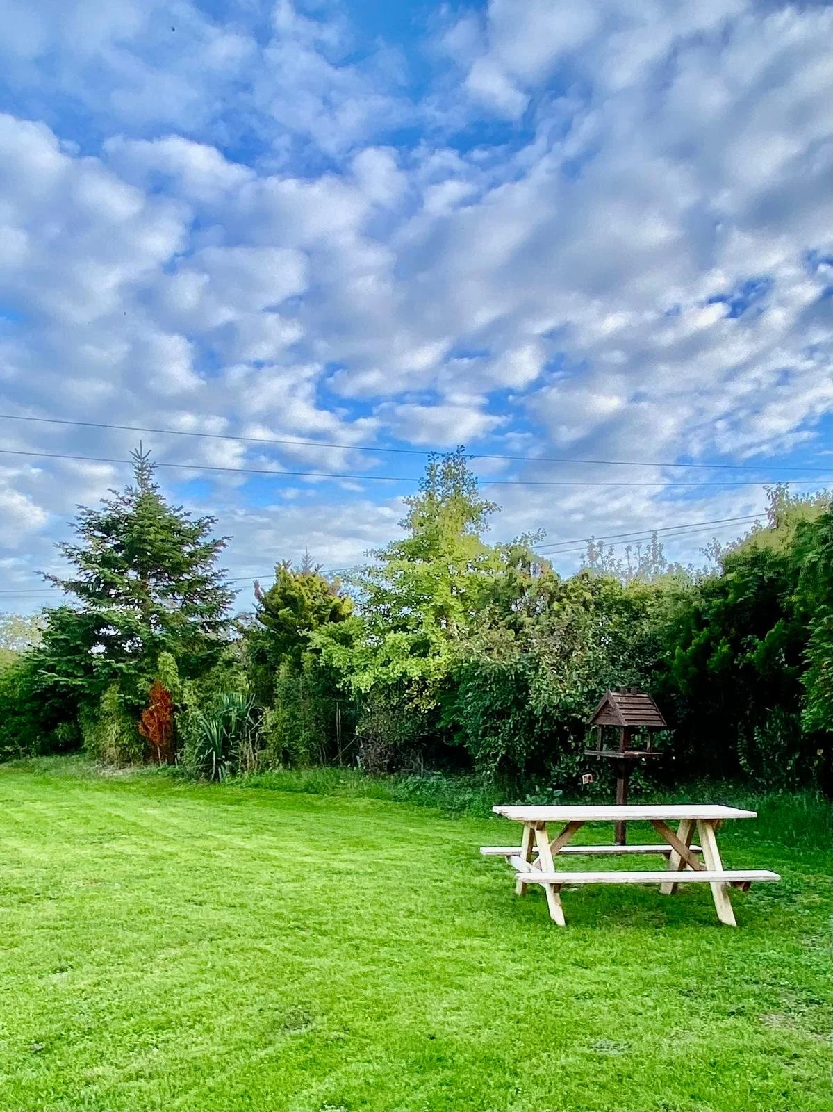 A lush green grassy yard with a wooden picnic table and a birdhouse on a post, surrounded by trees and bushes under a partly cloudy sky.